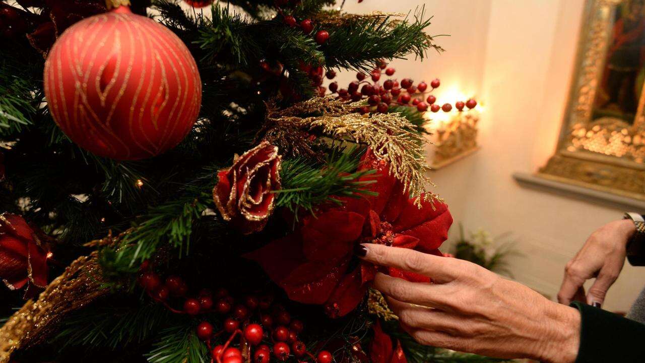 Altezza, acquisto e cura: ecco tutti i consigli per l’albero giusto di Natale