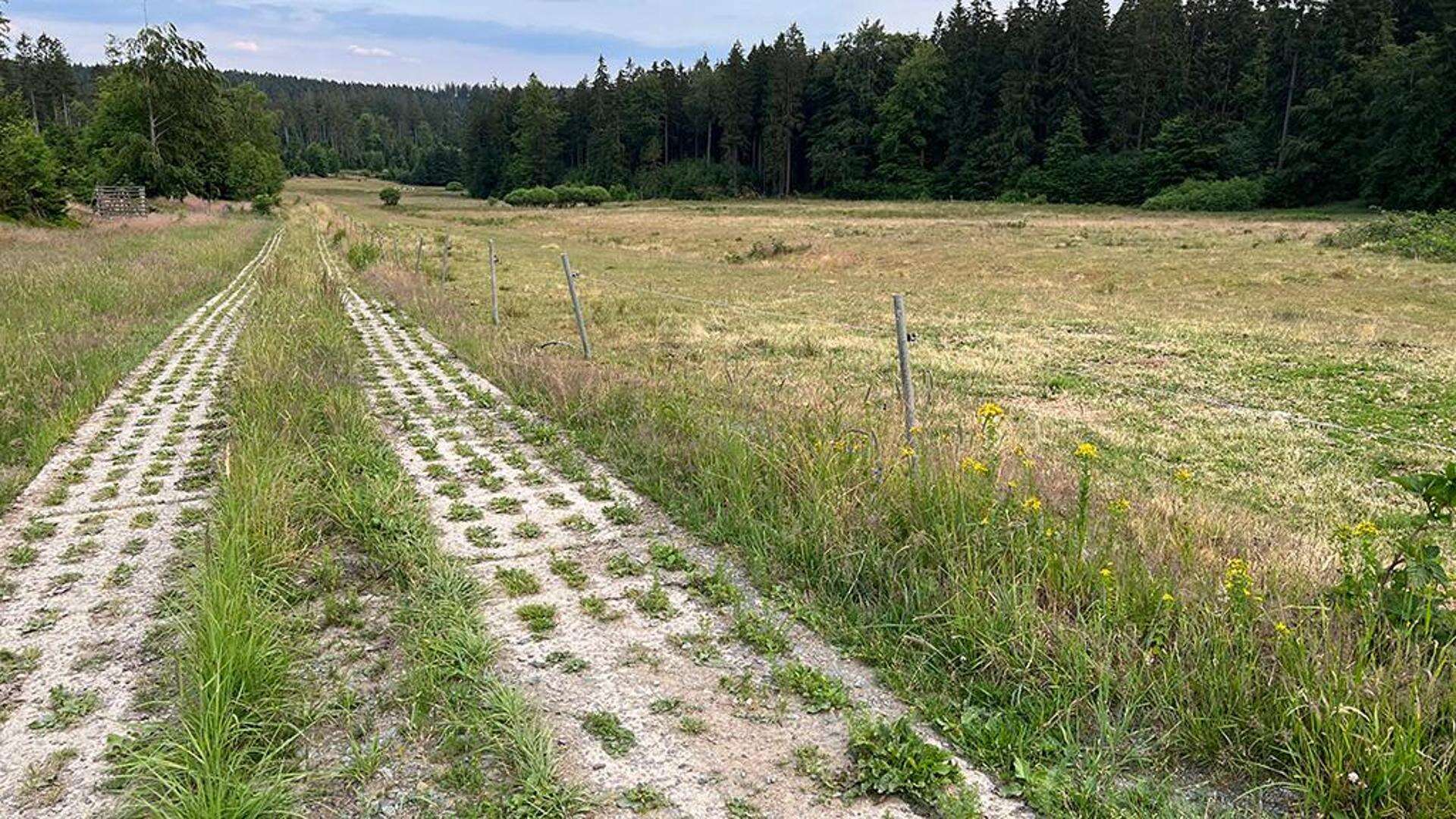 Camminare in Germania lungo la ex-Cortina di Ferro a 35 anni dalla caduta del Muro di Berlino