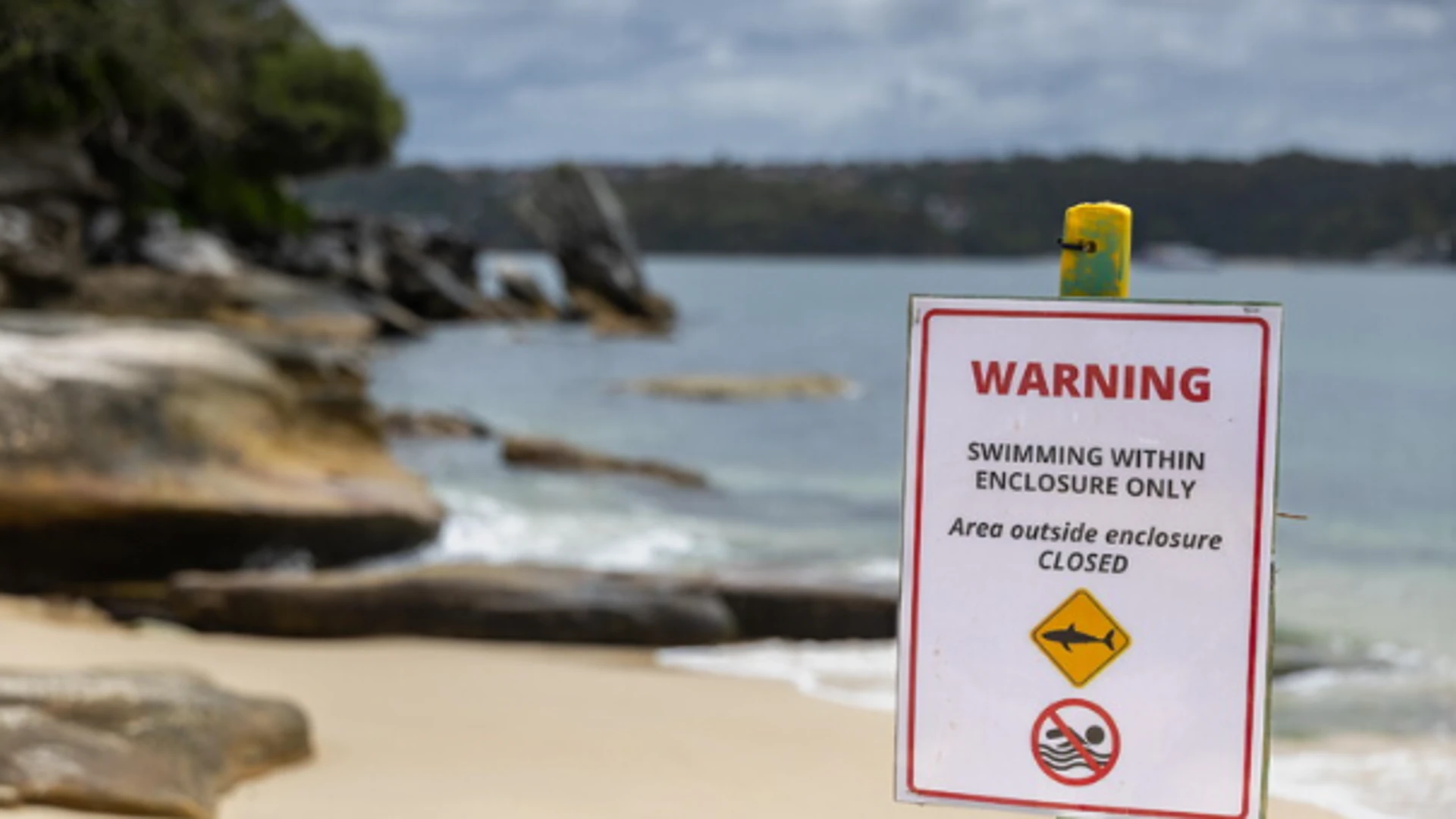Australia, 39enne ucciso da uno squalo nel Queensland