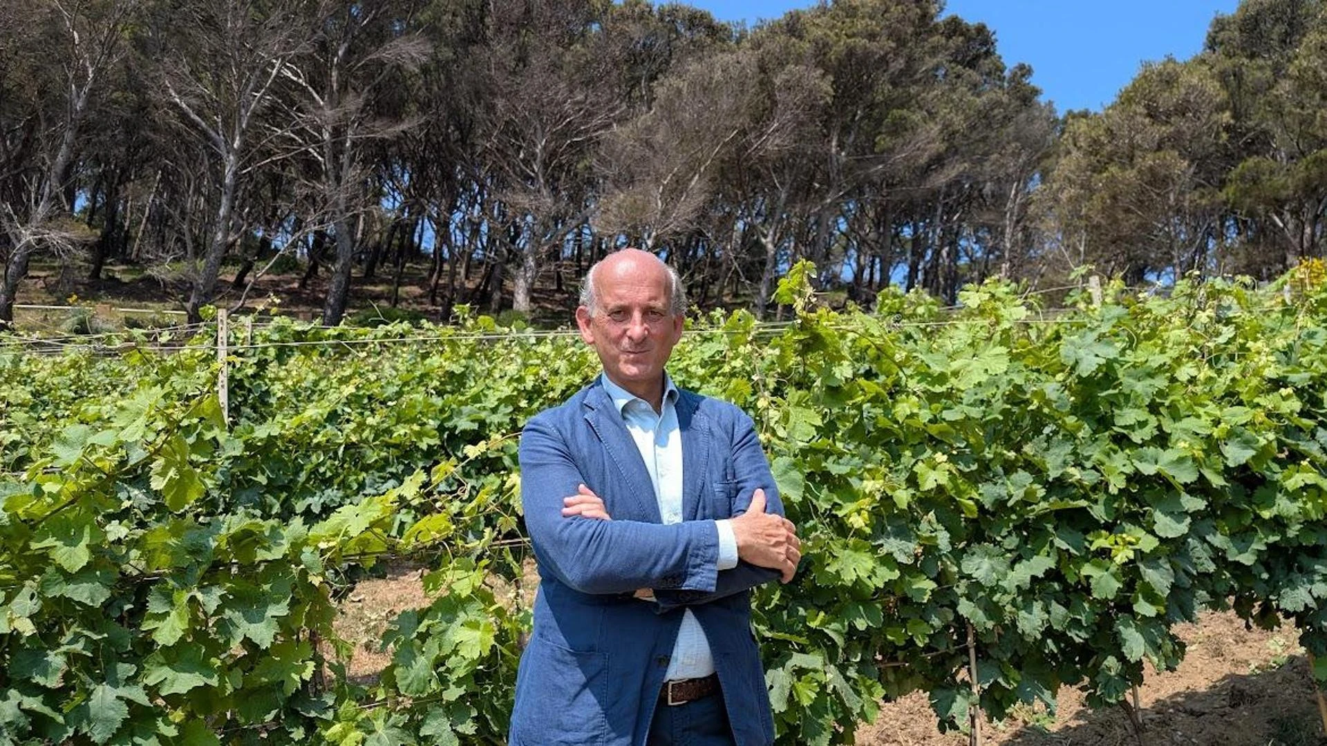 Vino, cantine piene e consumi in calo: via libera delle aziende a ridurre la produzione