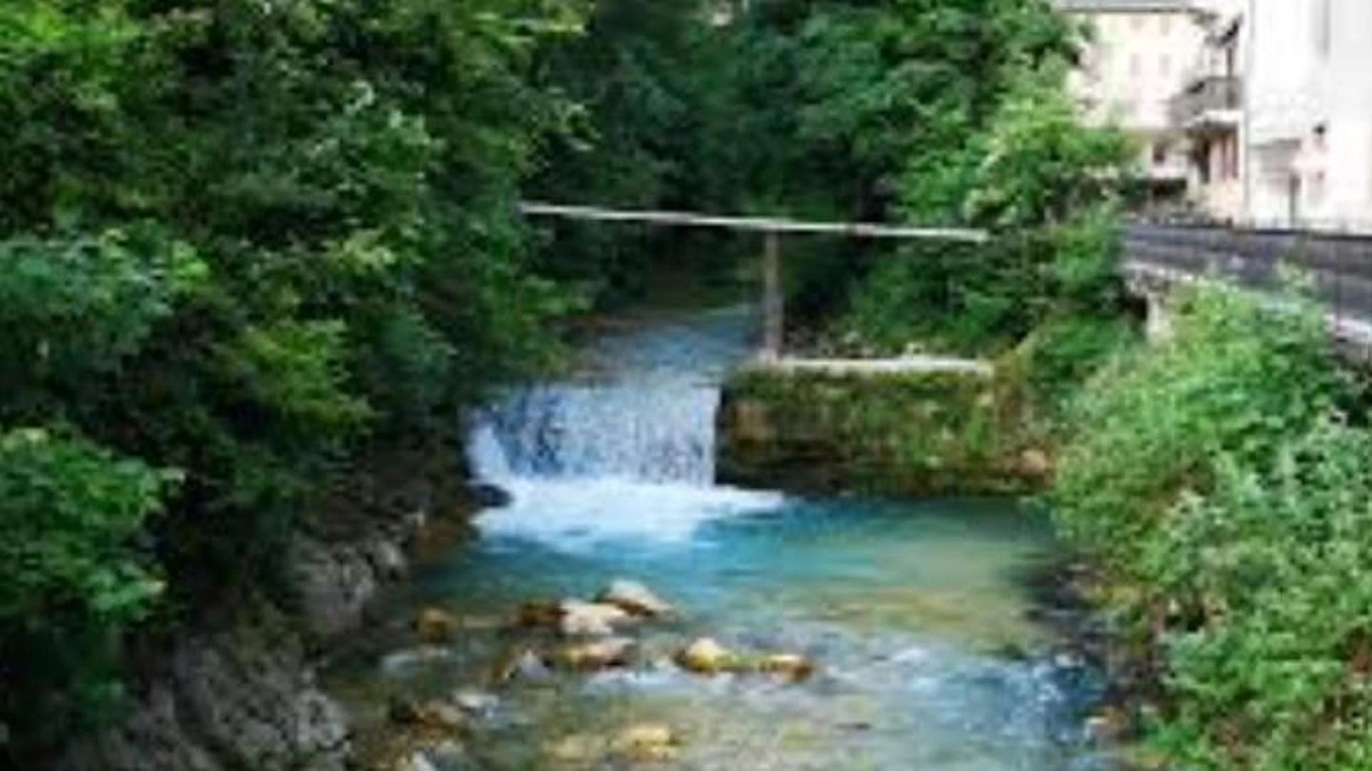 Recoaro Terme, un pulmino con ragazzi disabili esce di strada, 7 feriti
