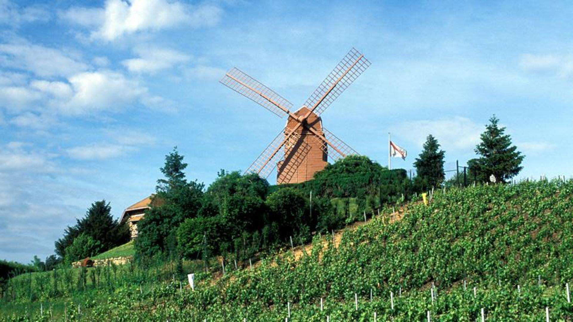 48 ore nello Champagne tra vigne, cantine e ristoranti, fino al buen retiro di De Gaulle