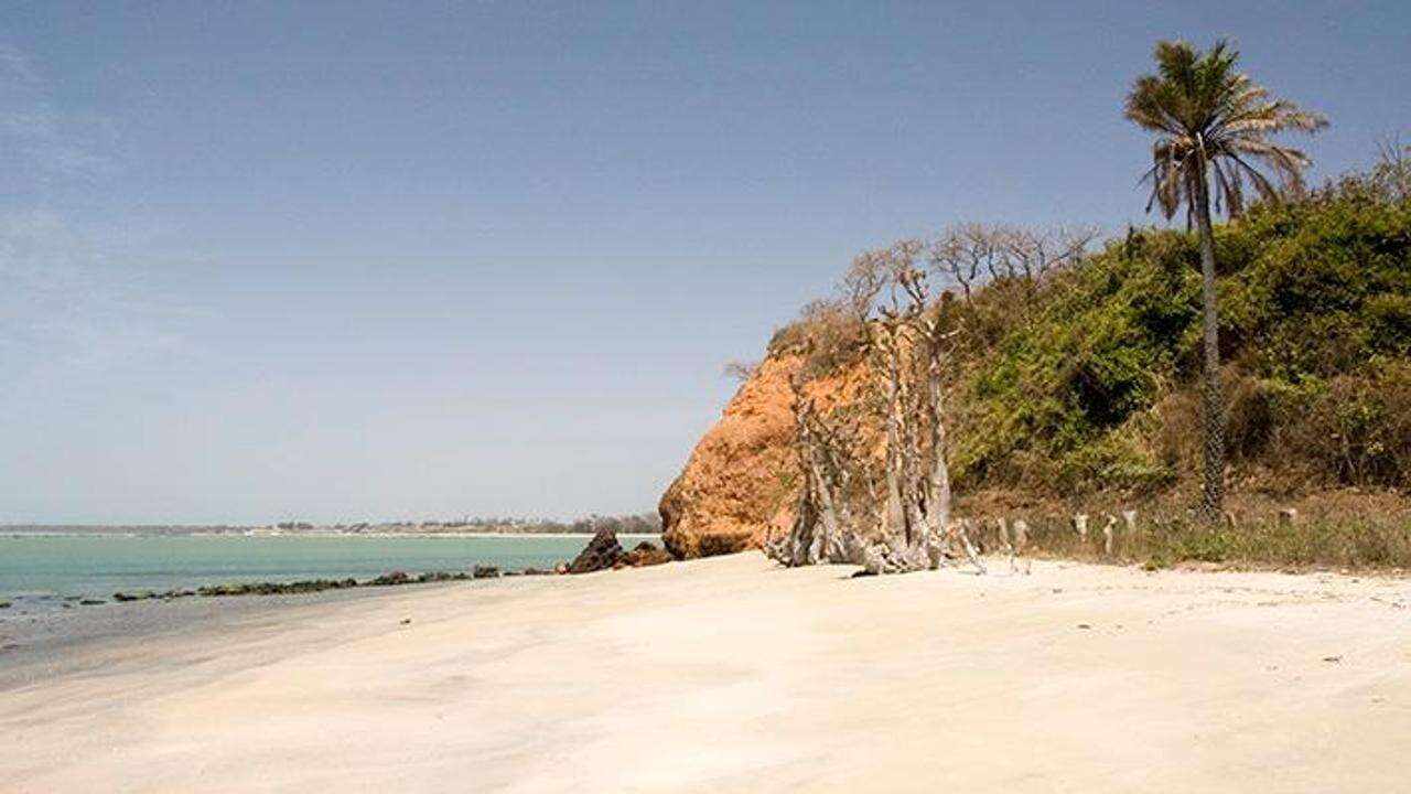 48 ore in Gambia tra spiagge, foreste e fauna africana