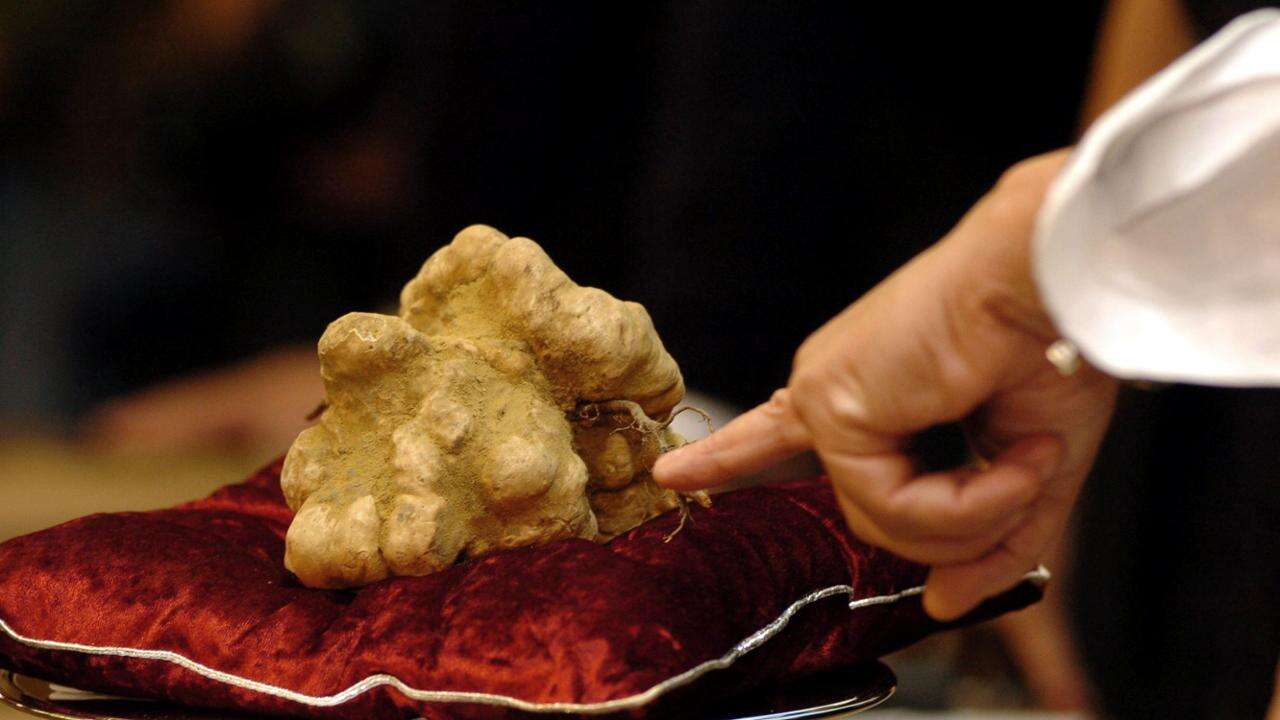 48 ore ad Alba per la Fiera del Tartufo