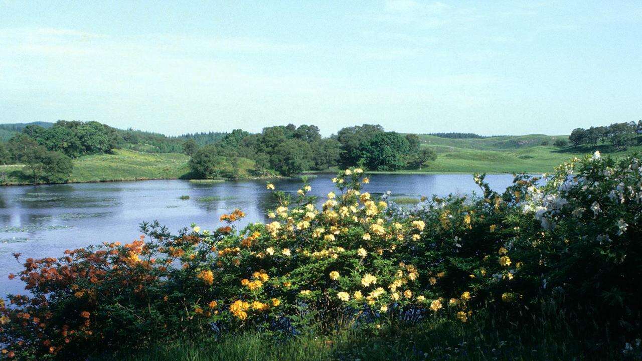 Scozia, alla scoperta dei giardini storici tra i Lochs