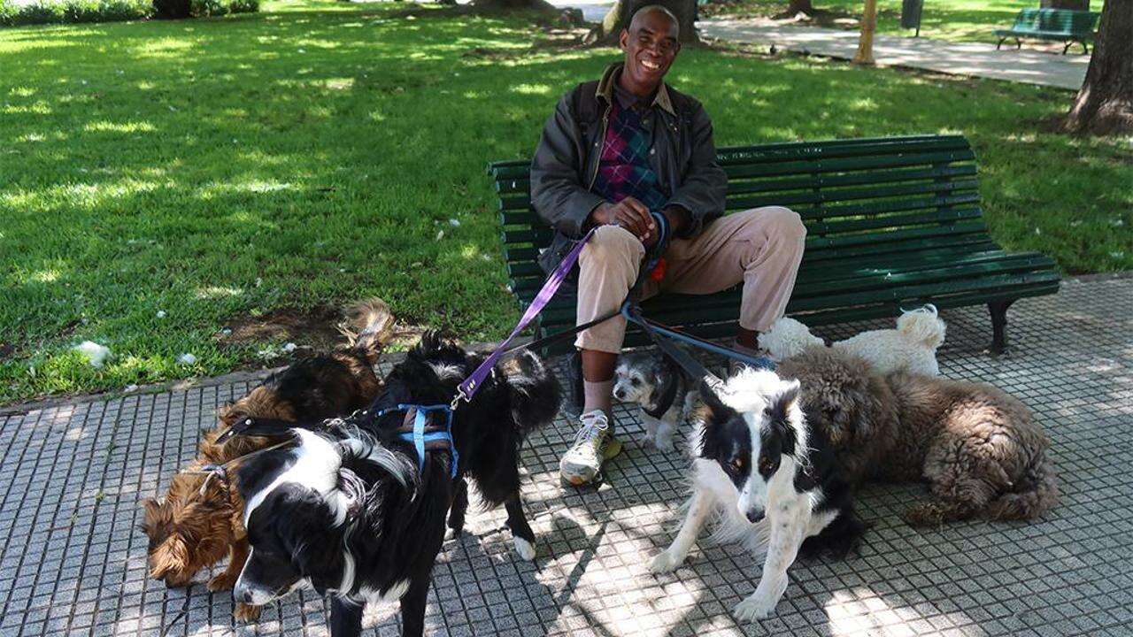 Buenos Aires pedinando i paseadores de perros