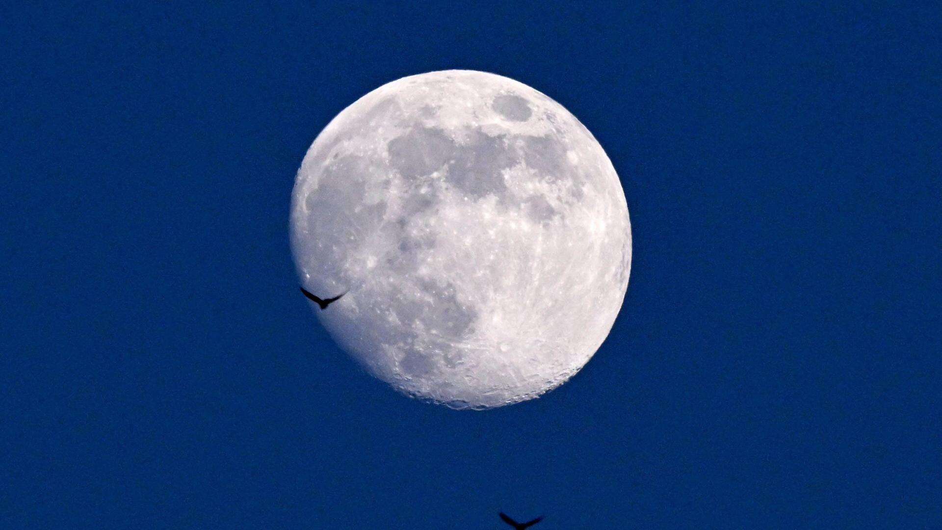 La Luna piena del Lupo del 13 gennaio tra astronomia e leggende: a che ora vederla e perché si chiama così