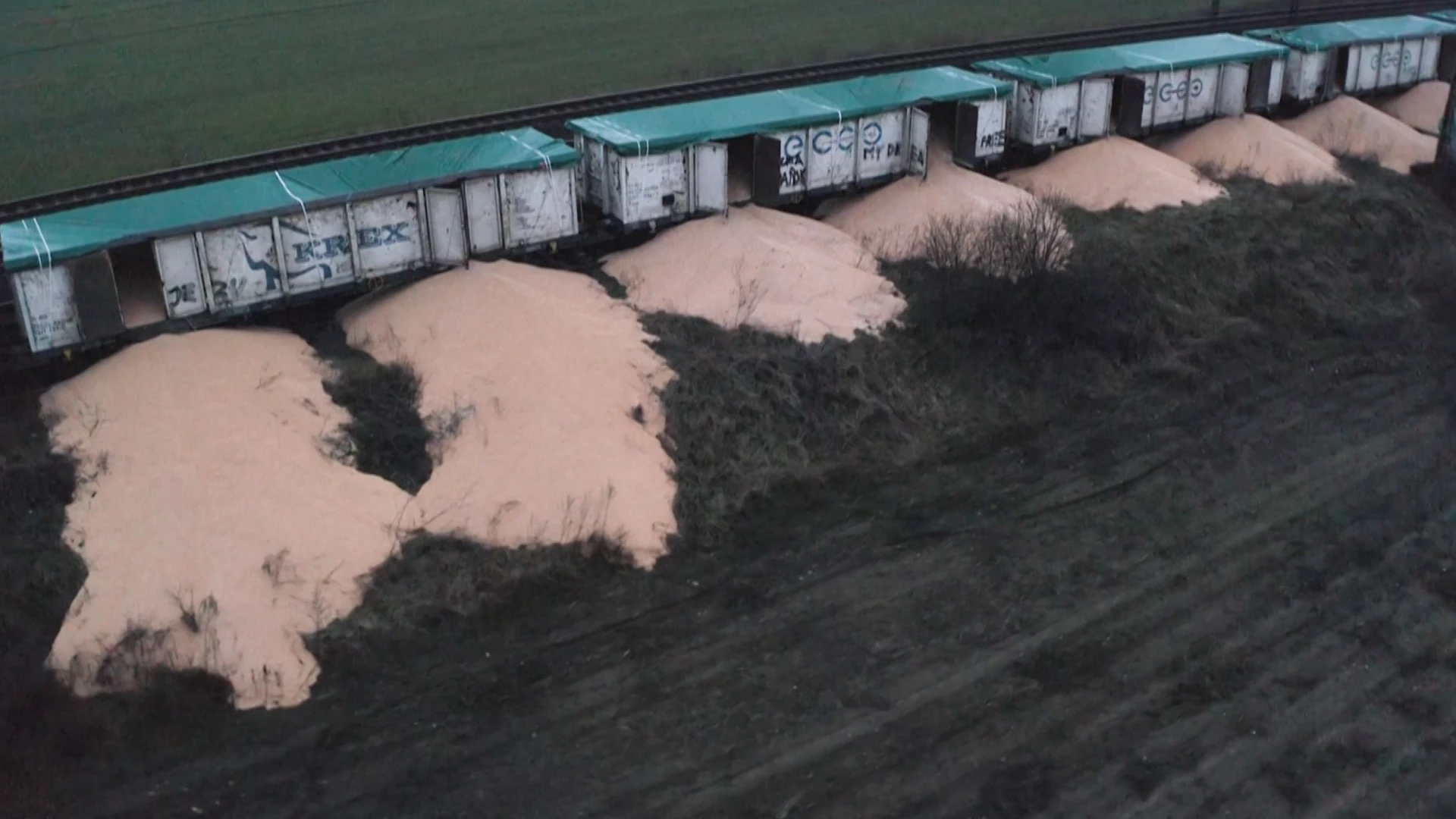 VIDÉO. Pologne : 160 tonnes de céréales en provenance d’Ukraine déversées sur les voies ferrées