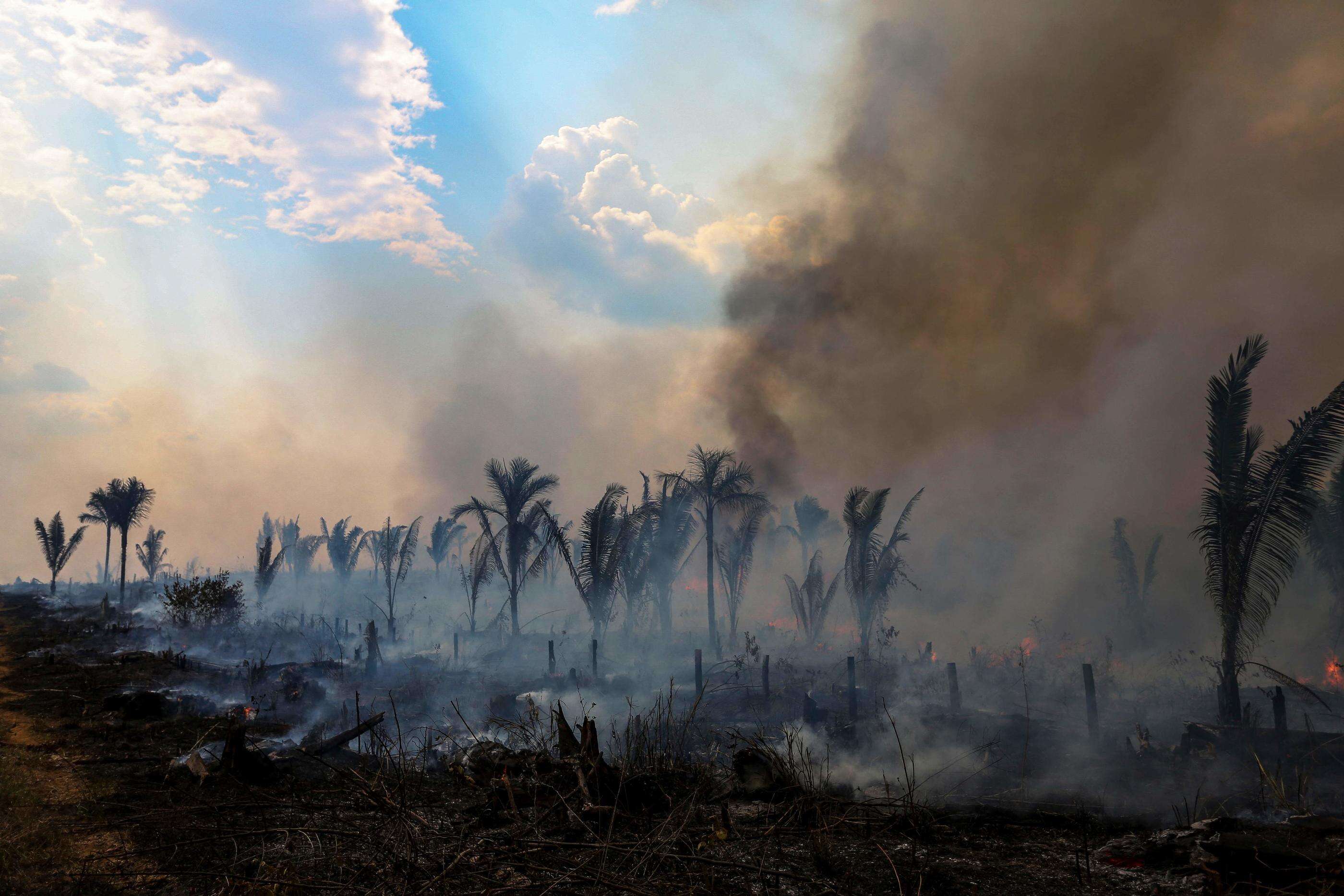 Brésil : près de 3 000 feux enregistrés au mois de février, un triste record