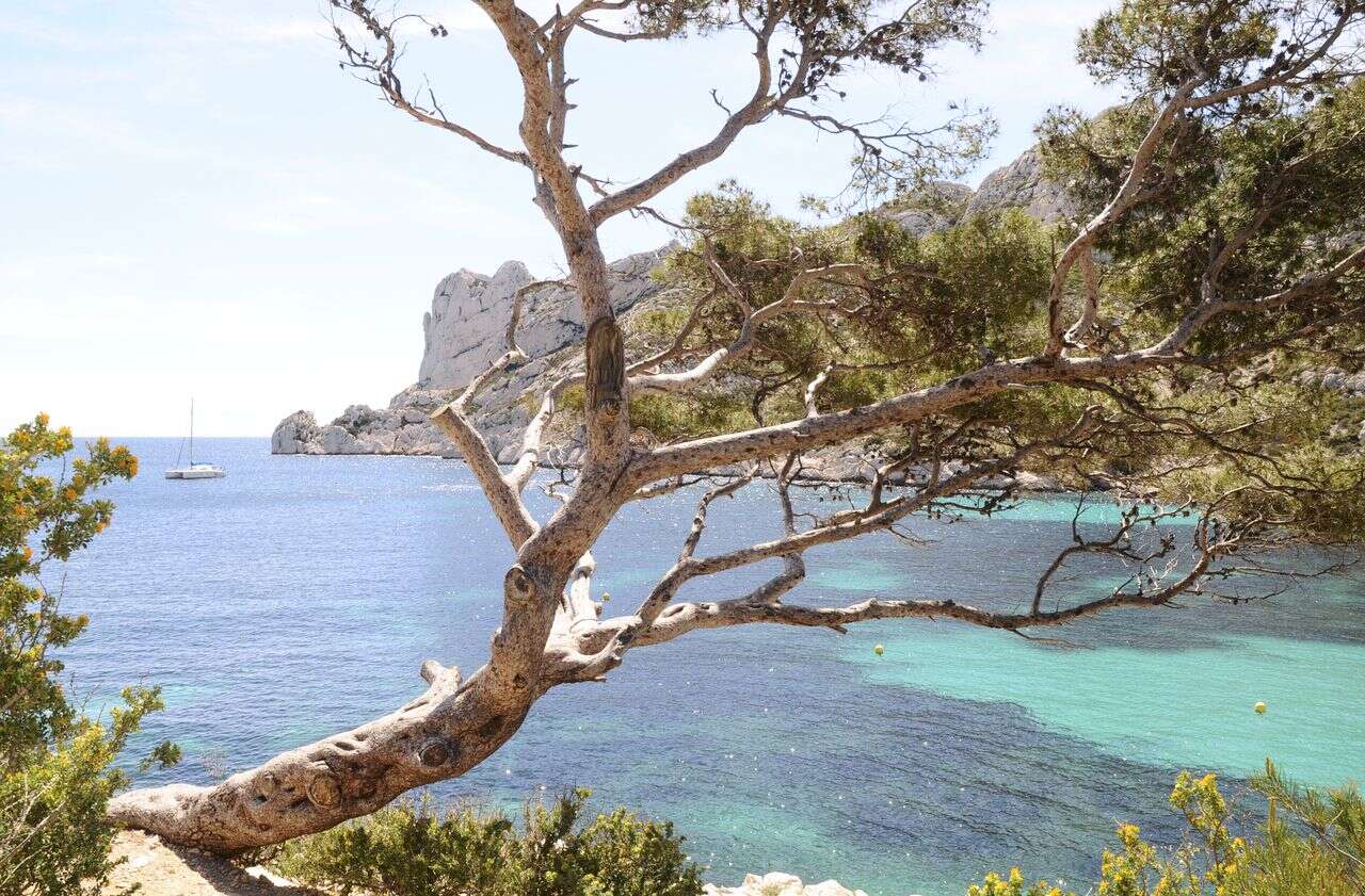 Marseille : en sortie scolaire dans les calanques, une enseignante trouve 1,4 kg de cocaïne