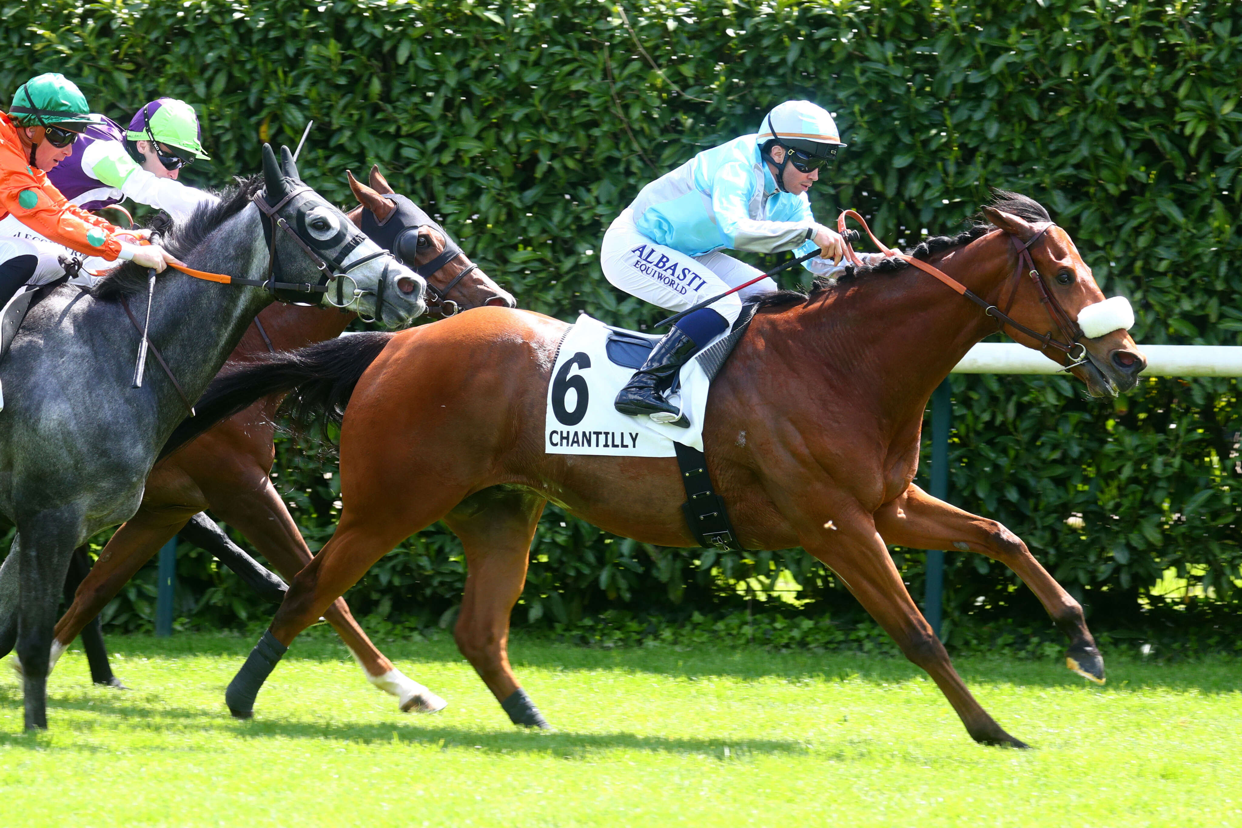 PMU - Arrivée du quinté du mardi 7 mai à Chantilly : Raysteve s’offre une troisième étoile