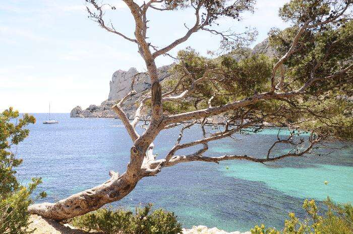 Marseille : journée sans voiture expérimentée pour protéger les Calanques du surtourisme