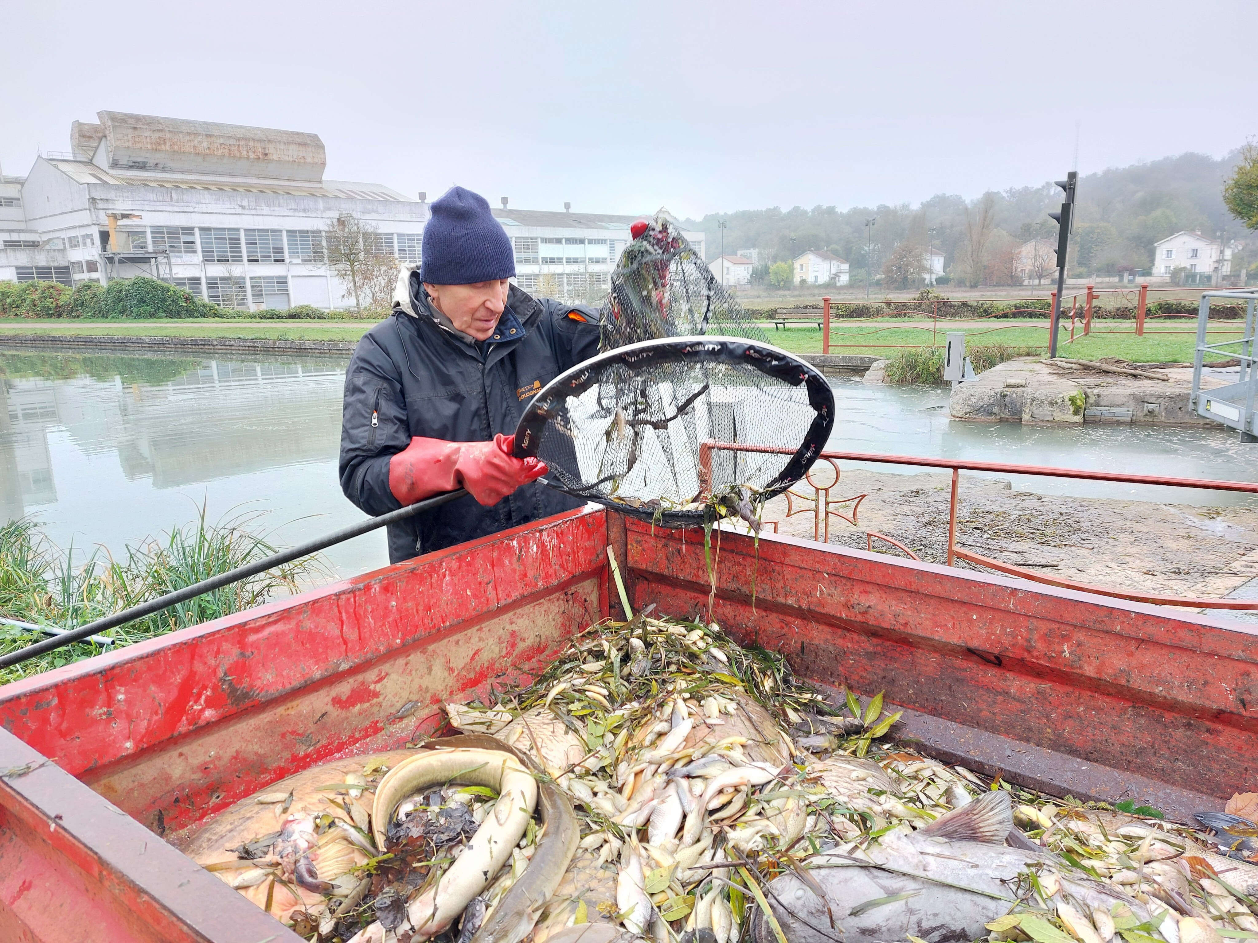 Pollution du canal du Loing : le préfet ordonne la vidange de l’eau mortelle pour les poissons