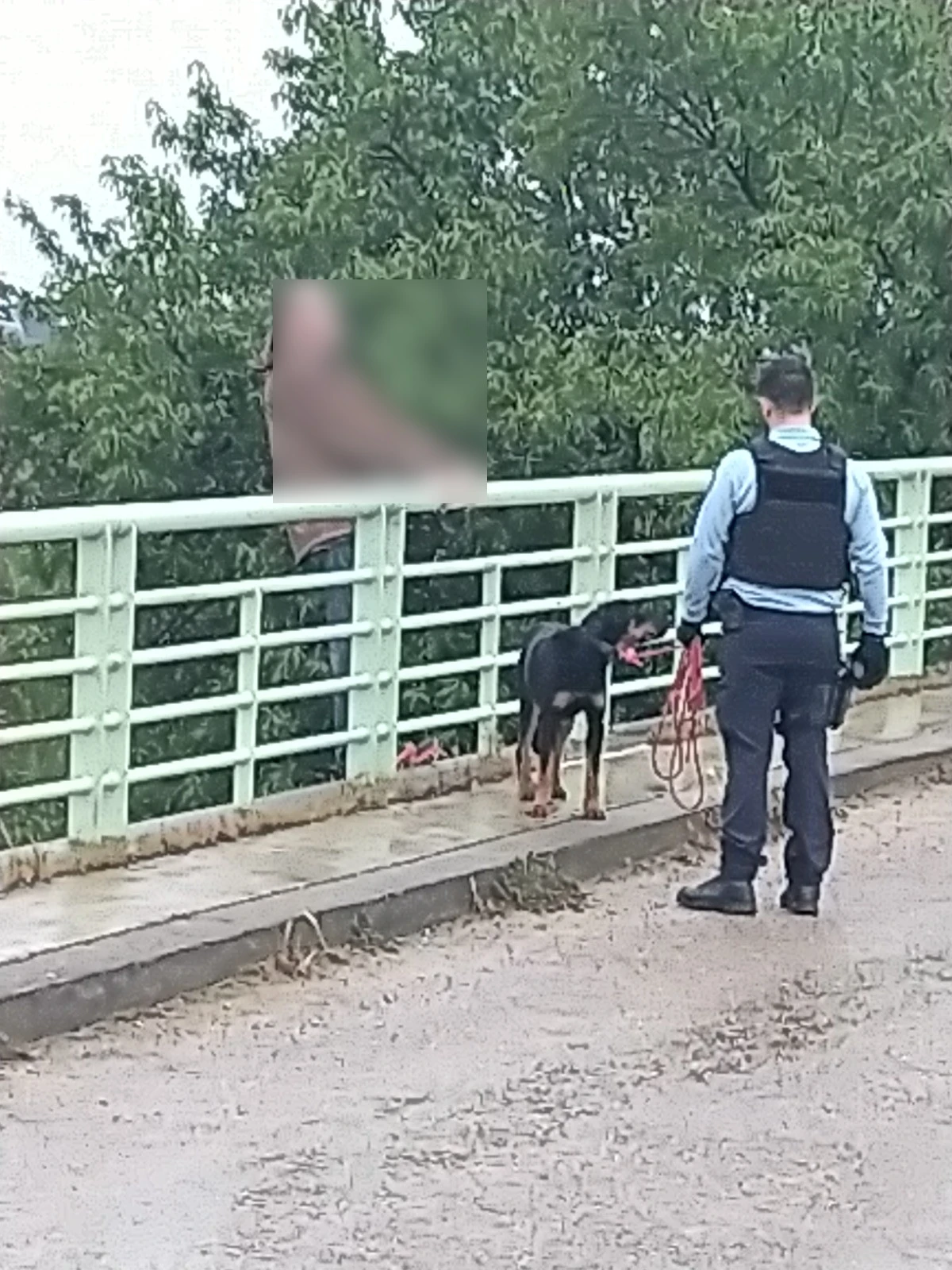 Blocage de l’A9 : l’homme qui menaçait de se jeter du pont est revenu à la raison grâce à sa chienne Tina