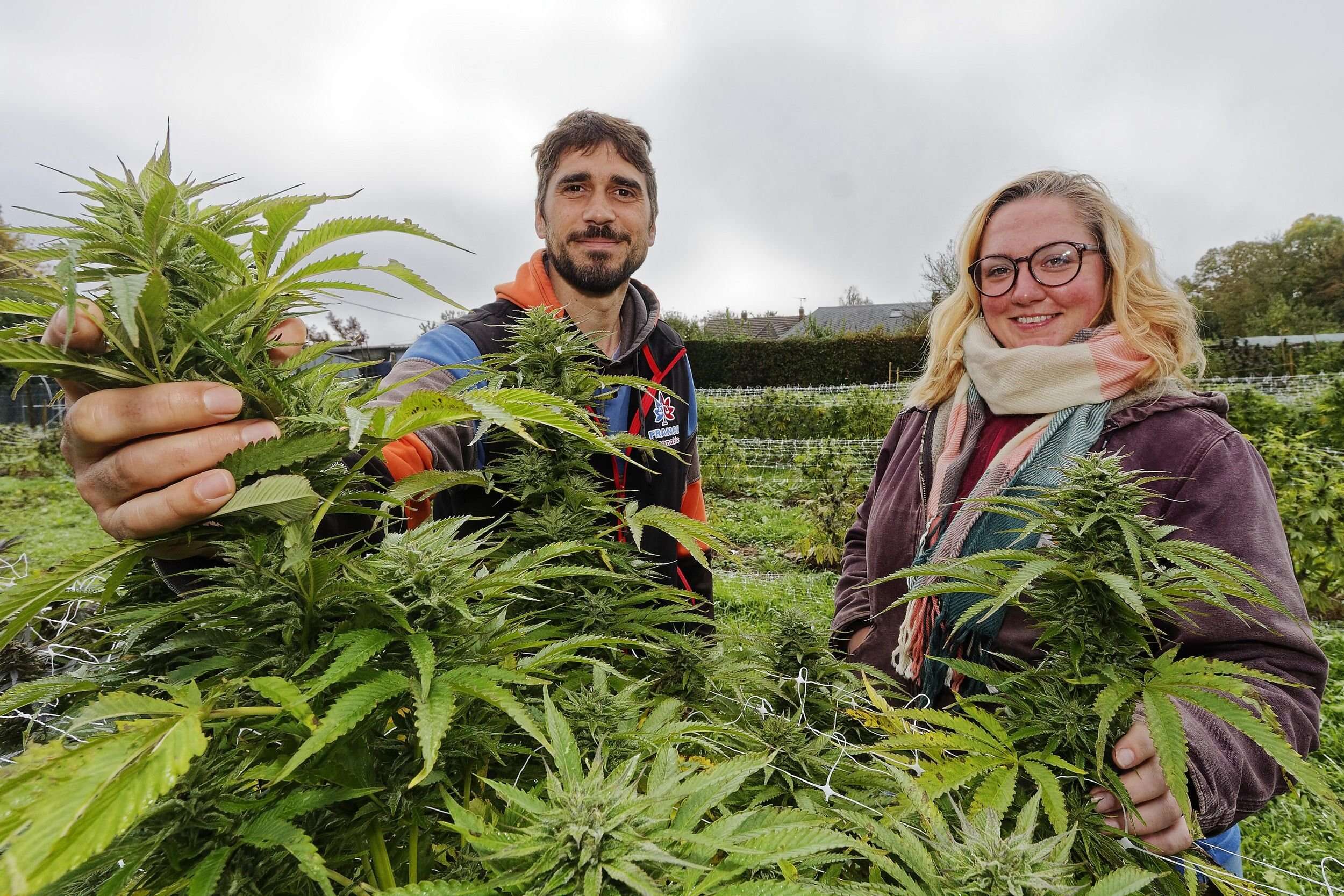 Un ancien journaliste cultive du cannabis 100 % normand au Neubourg dans l’Eure