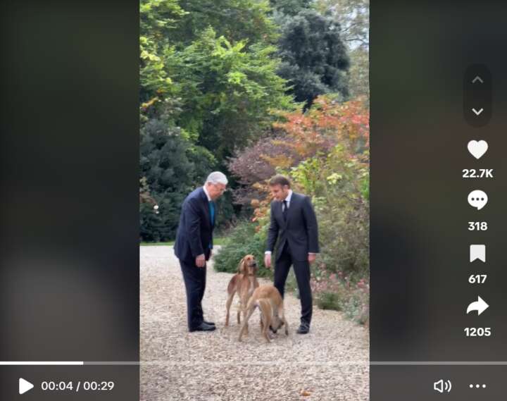 « Un bon trio avec Nemo » : Emmanuel Macron présente ses deux nouveaux chiens, offerts par le président du Kazakhstan