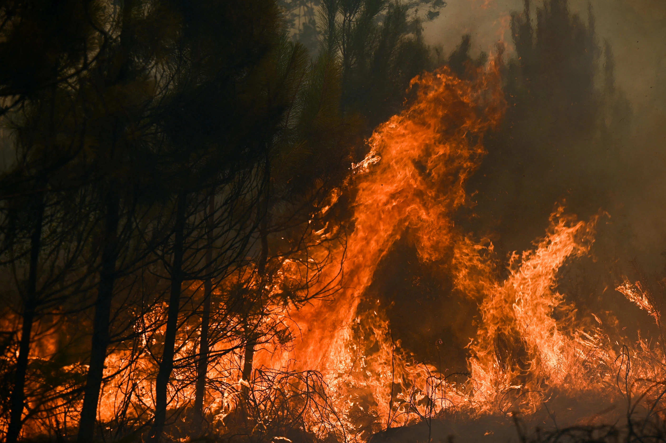 Feux de forêt : météo, réactivité… pourquoi la France reste (pour l’instant) épargnée cet été