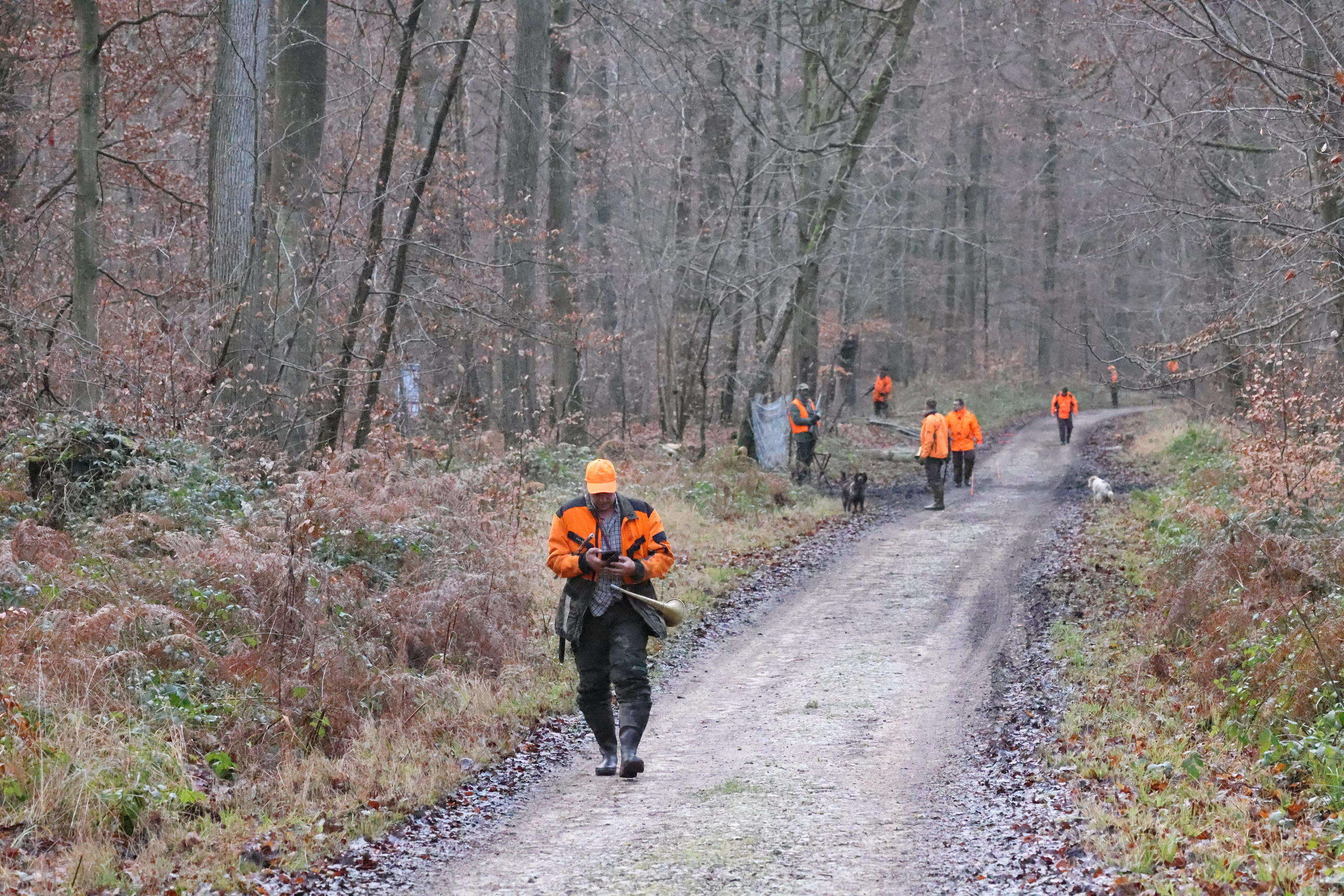 Une chasseuse de 19 ans condamnée à un an de prison avec sursis pour avoir accidentellement tué une randonneuse dans le Cantal