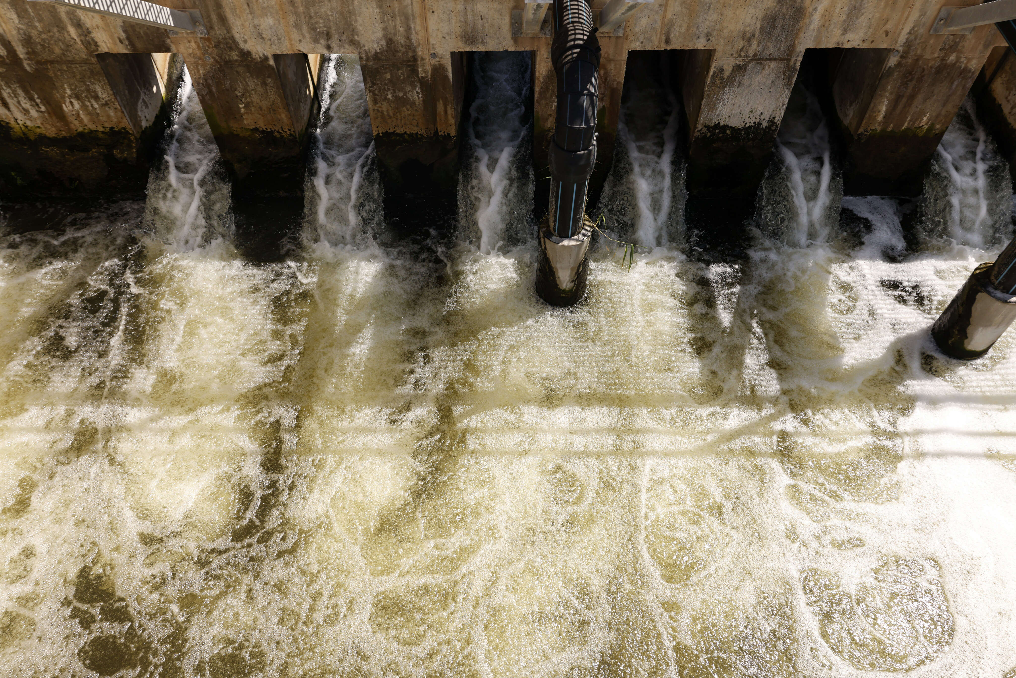 Pierre Ribaute, directeur général de l’activité eau en France chez Veolia : « Chaque geste compte »En partenariat avec VEOLIA