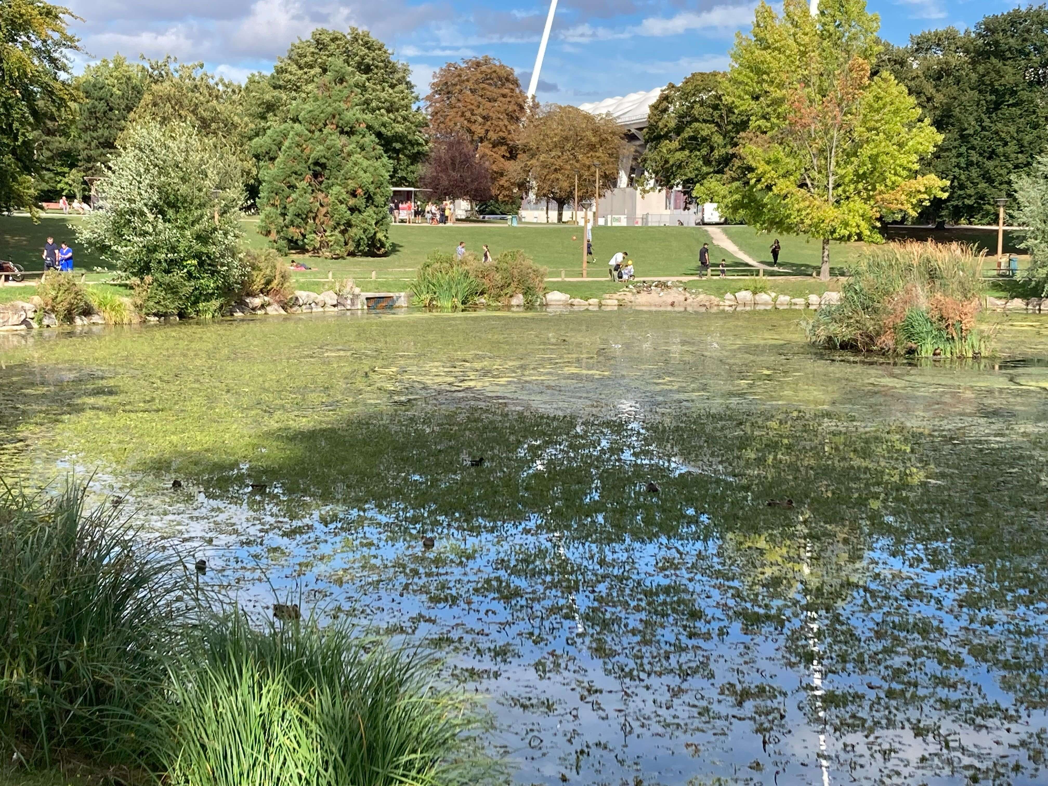 « Sa progression a explosé » : à Reims, la bataille contre une plante qui envahit les plans d’eau est-elle déjà perdue ?