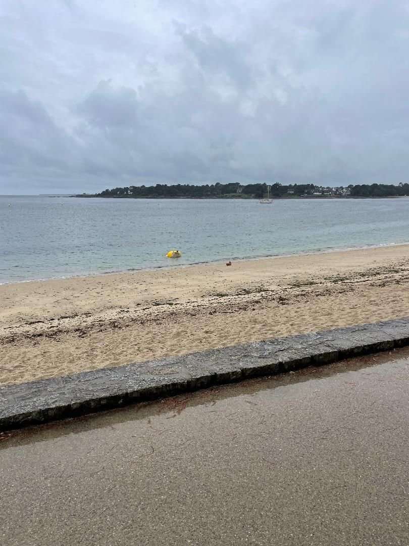 Finistère : un canard géant s’offre un bain de mer à Bénodet !