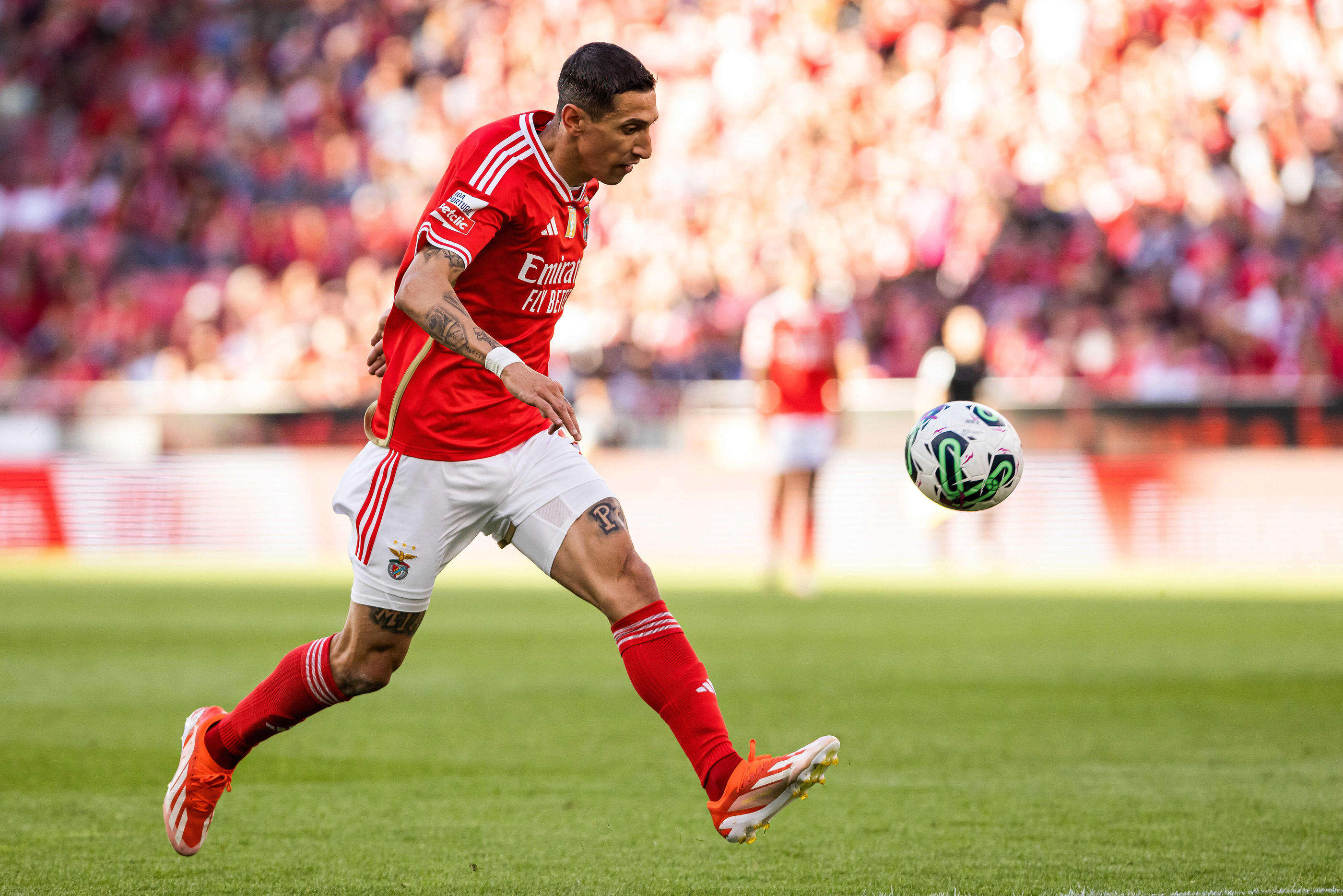 Football : Angel Di Maria prolonge au Benfica Lisbonne jusqu’en 2025