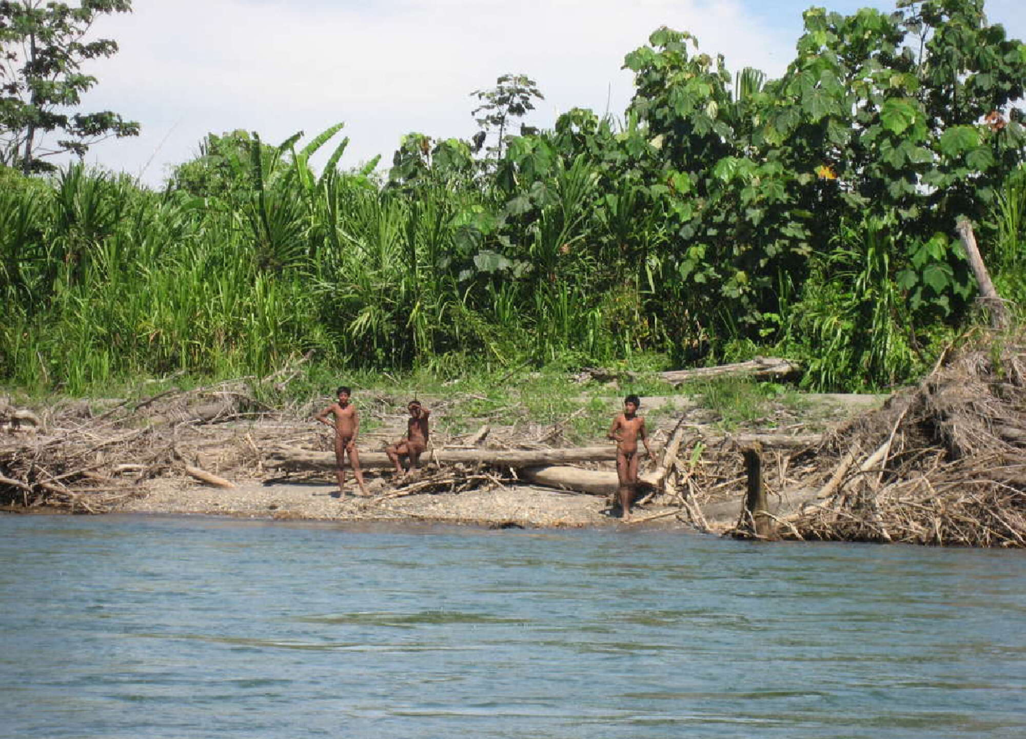 Deux bûcherons tués à l’arc après avoir « empiété » sur les terres d’une tribu isolée au Pérou, en Amazonie