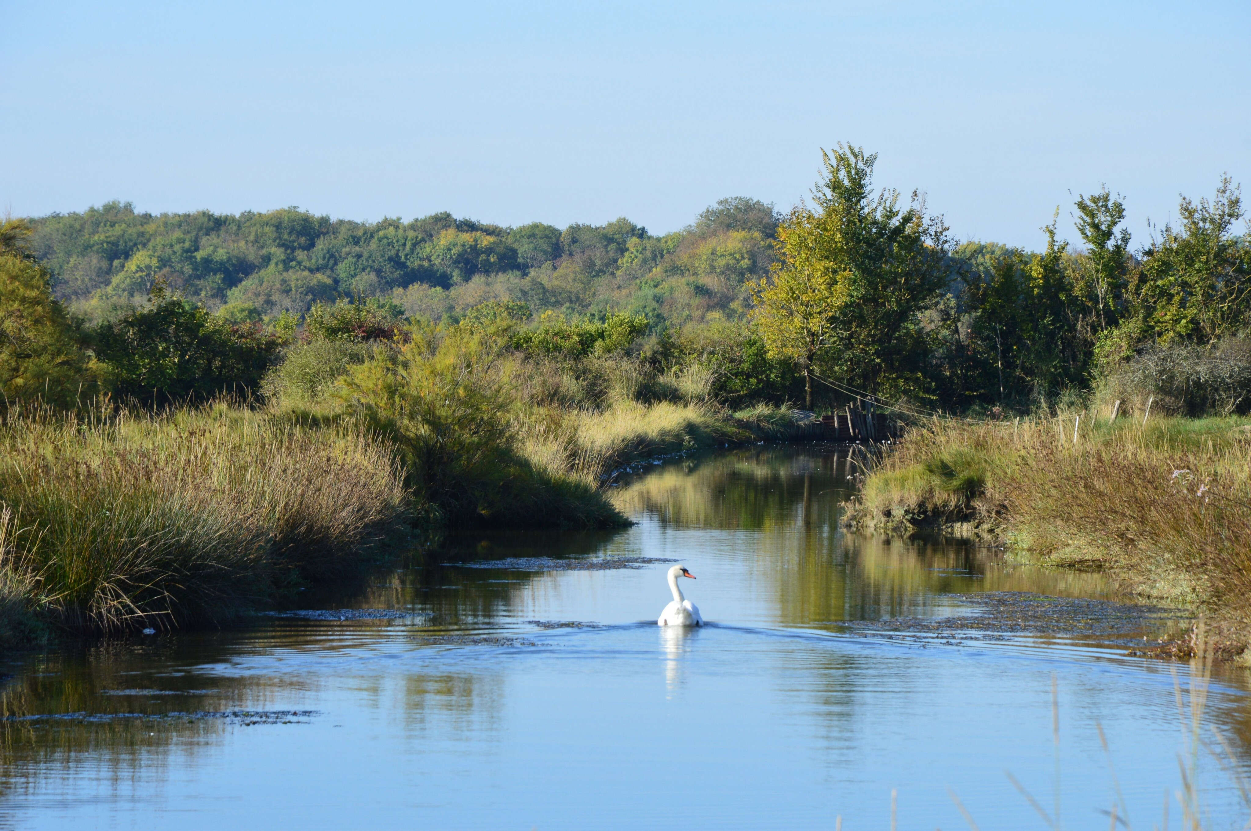 « Il va falloir se retrousser les manches » : en Charente-Maritime, le Parc naturel régional se concrétise doucement