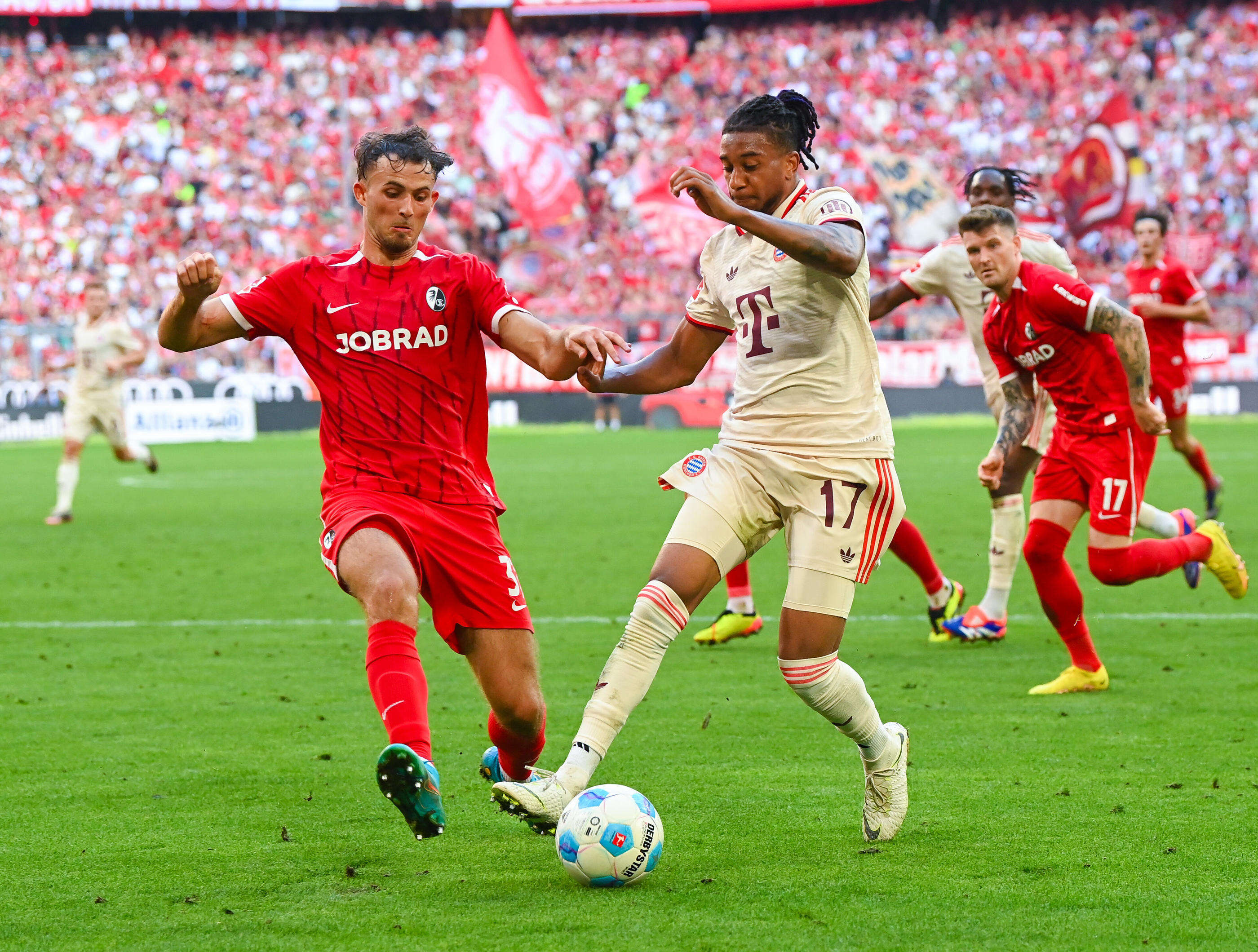 Football : avant de joindre les Bleus, Michael Olise brille avec le Bayern Munich