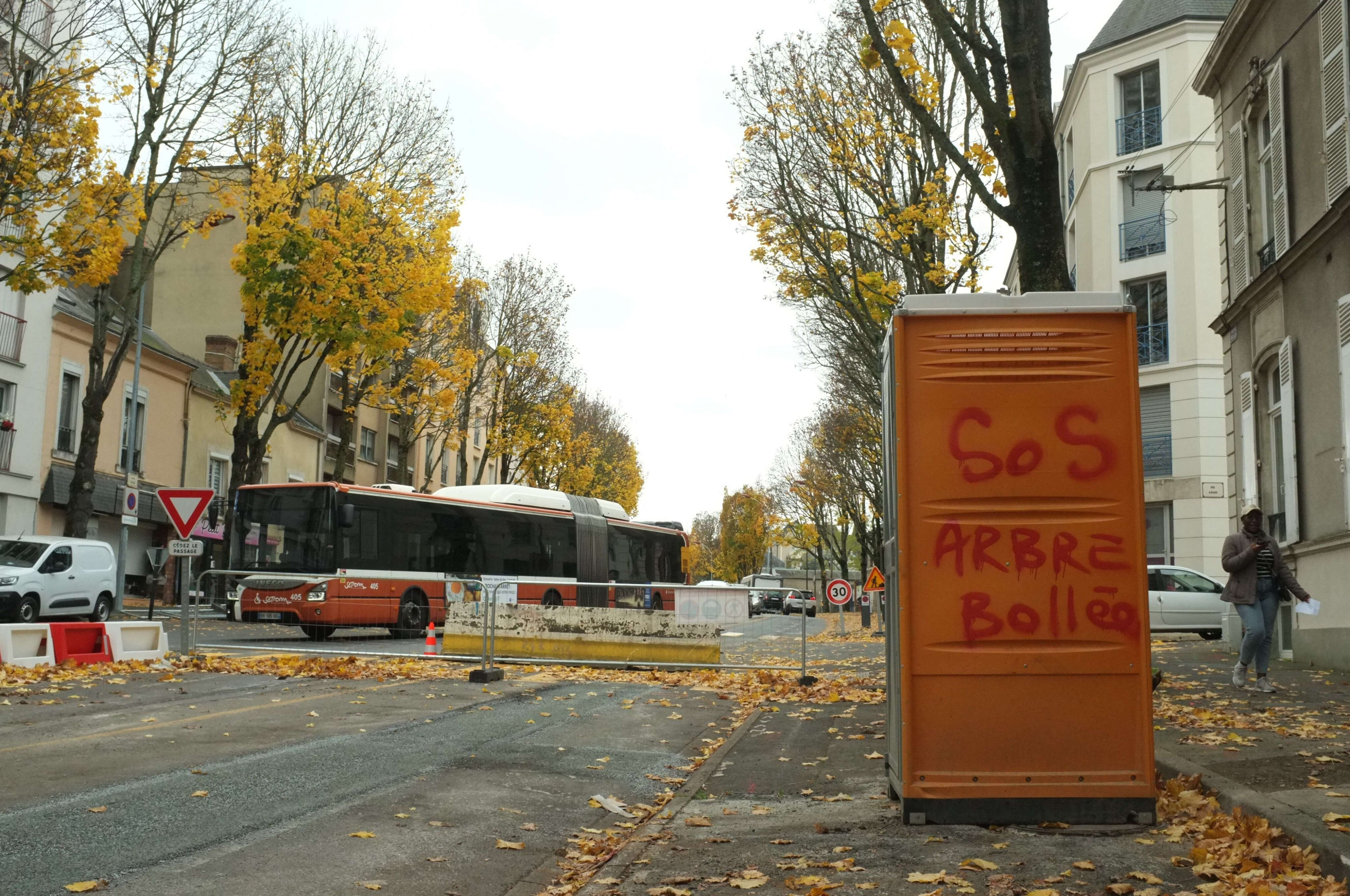 Malgré une pétition de 9 000 signataires, 82 érables abattus au Mans pour aménager des lignes de bus rapides