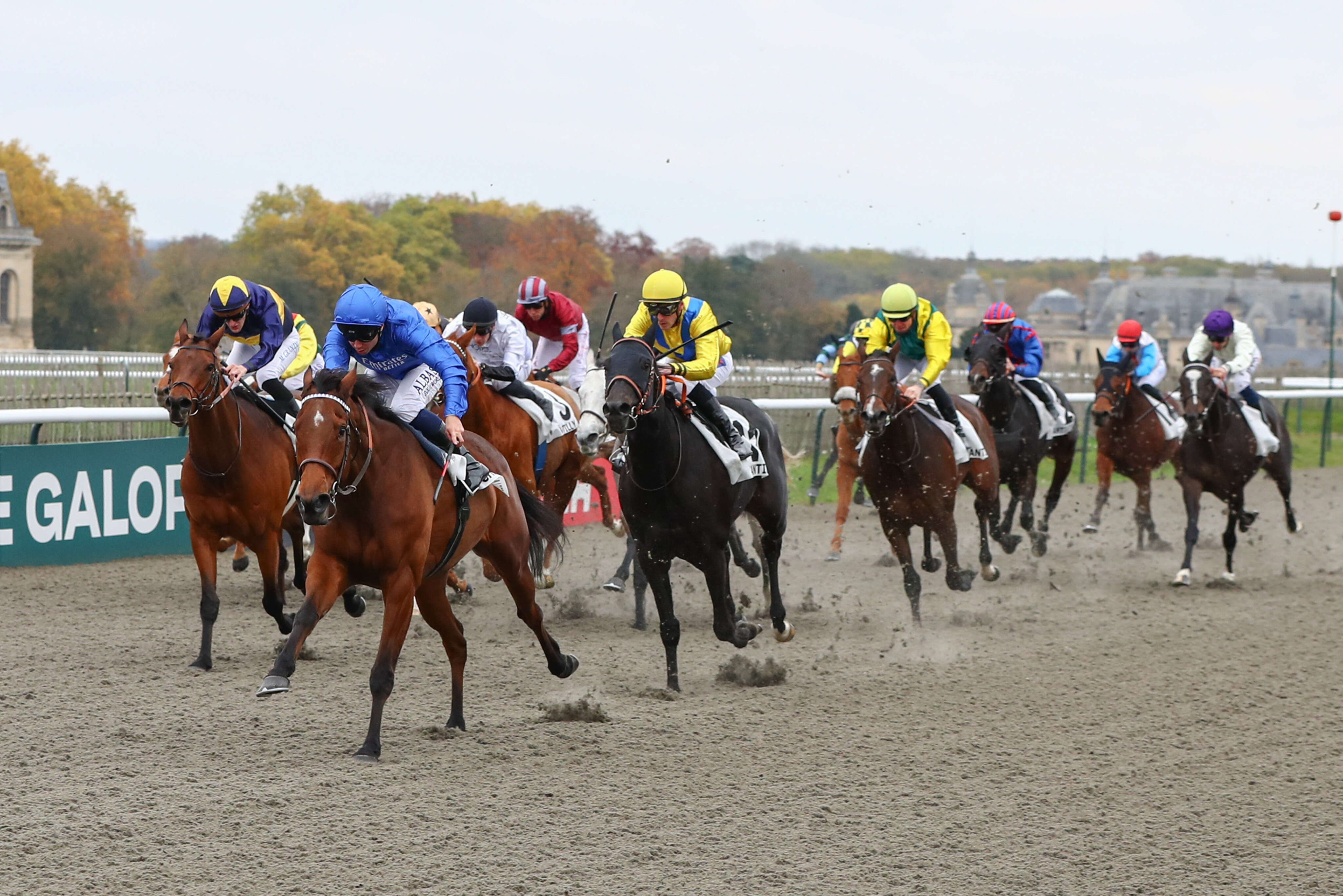 PMU - Arrivée du quinté du mardi 12 novembre à Chantilly : Wild Pansy repousse encore ses limites