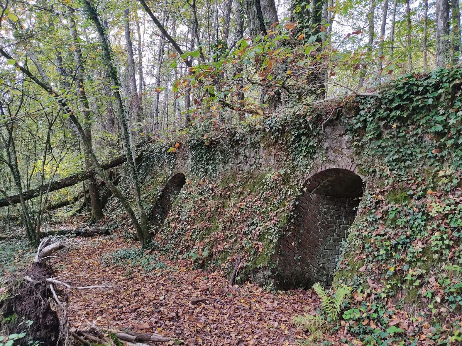 Loto du patrimoine : la dernière briqueterie de la Marne va refaire surface