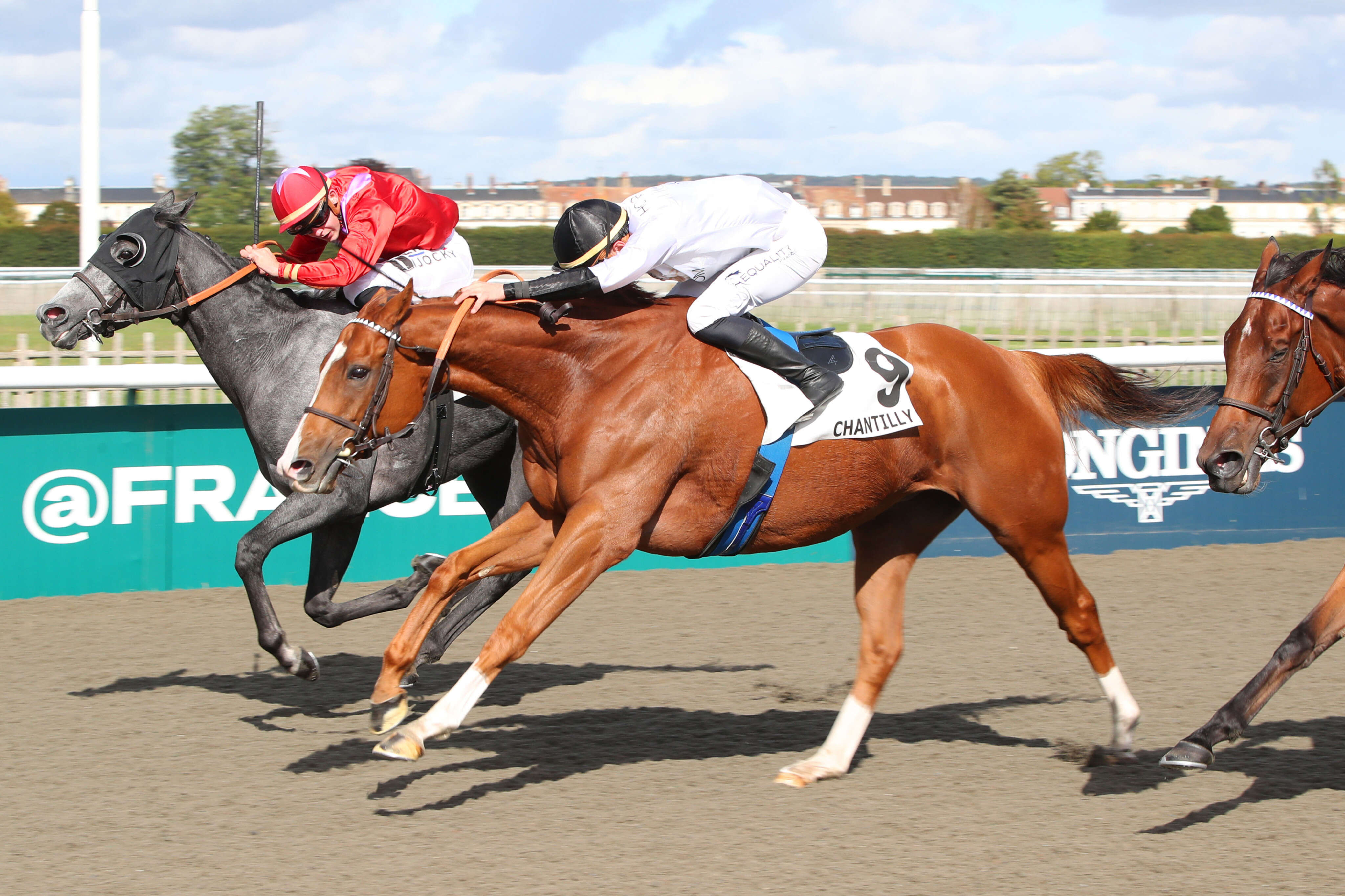 PMU - Arrivée du quinté du mardi 1er octobre à Chantilly : Central Park West au courage