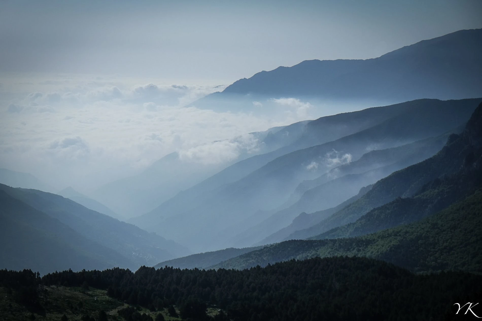 Pyrénées-Orientales : promenons-nous dans les bois… pendant que le soleil n’y est pas