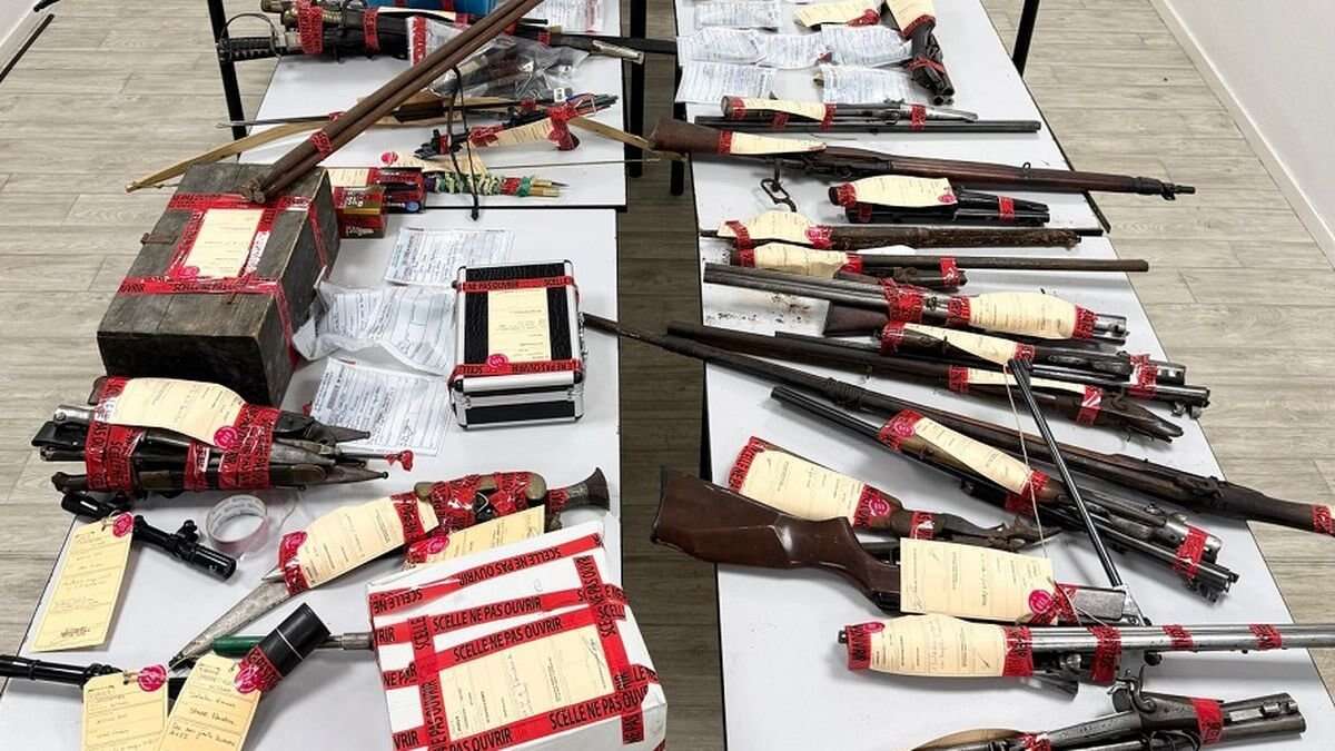 Un incroyable arsenal de plus de 200 armes découvert dans le Puy-de-Dôme