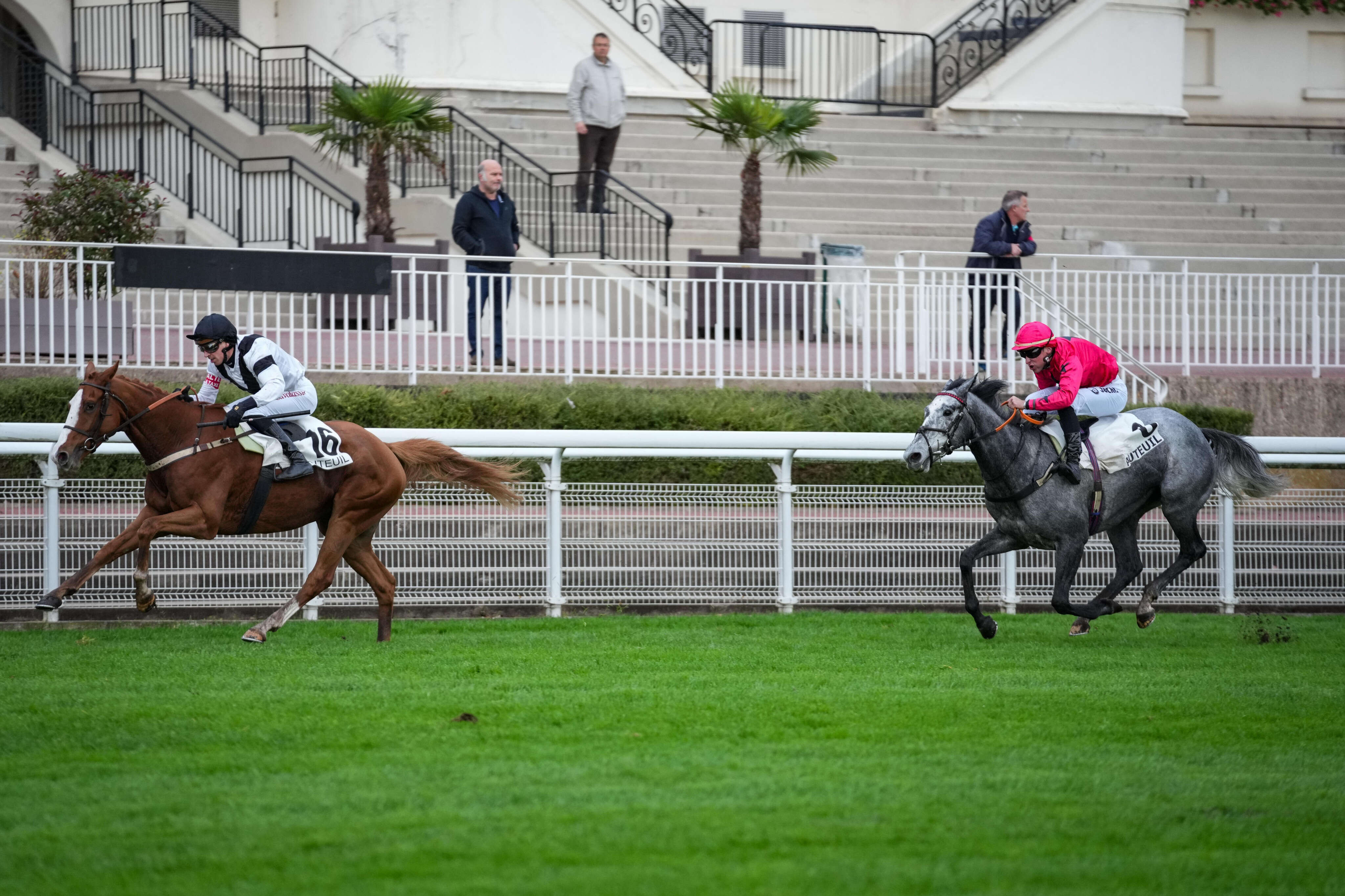 PMU - Arrivée du quinté du mercredi 30 octobre à Auteuil : Kassel Allen sait vraiment tout faire