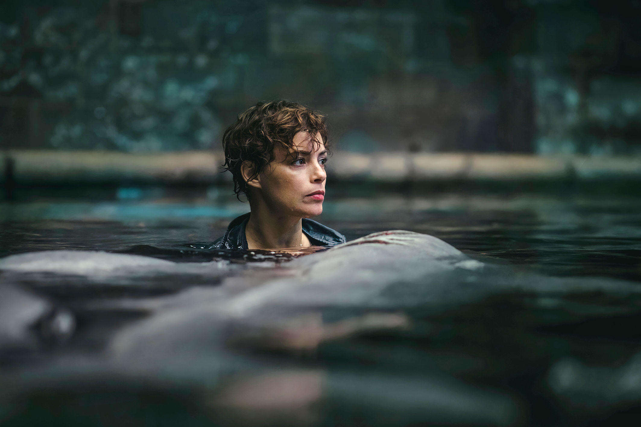 « Sous la Seine » : l’actrice Bérénice Bejo annonce le tournage une suite, les requins bientôt de retour à Paris