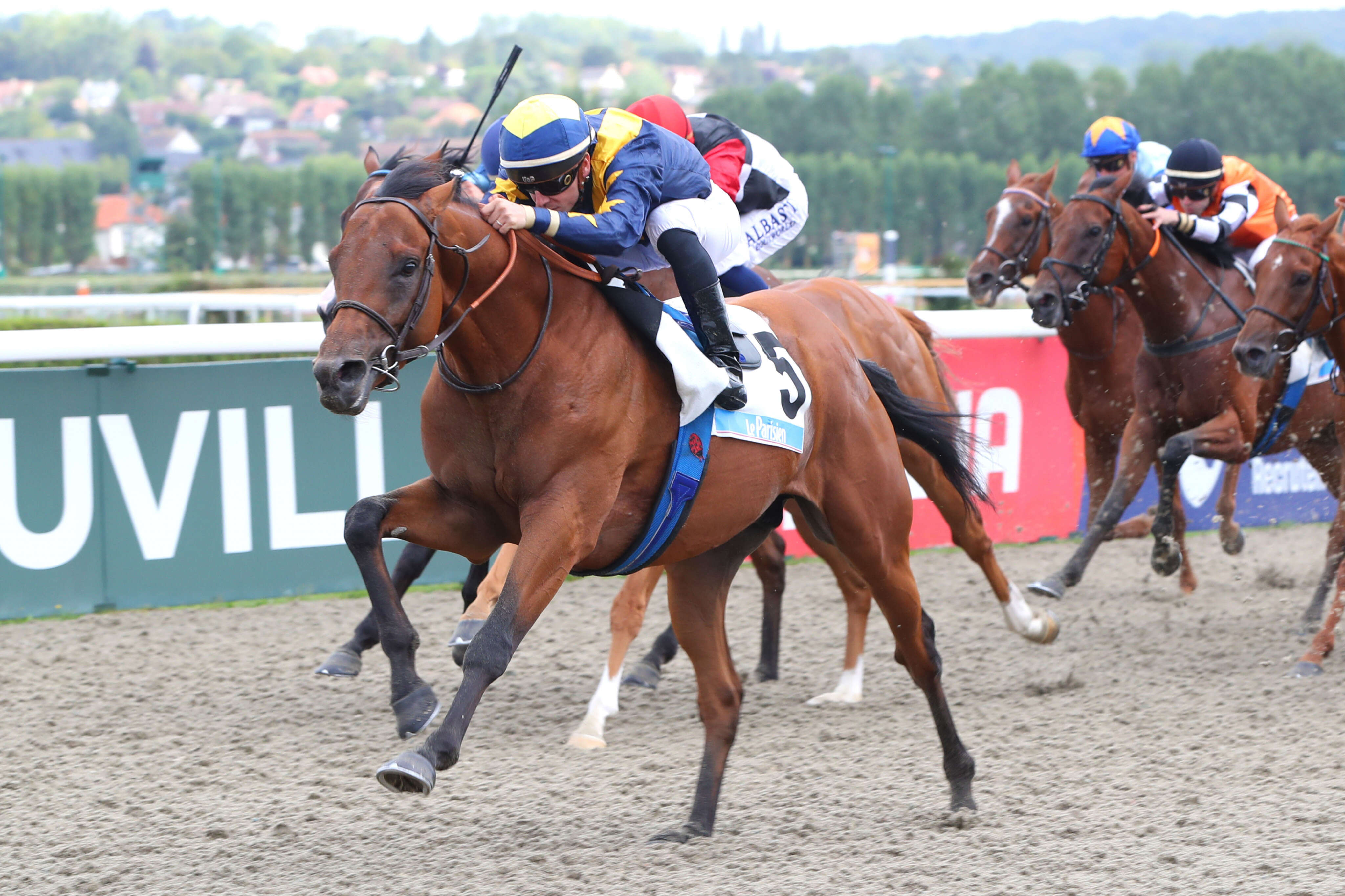 PMU - Arrivée du quinté du samedi 17 août à Deauville : Future Fate survole le Prix Le Parisien