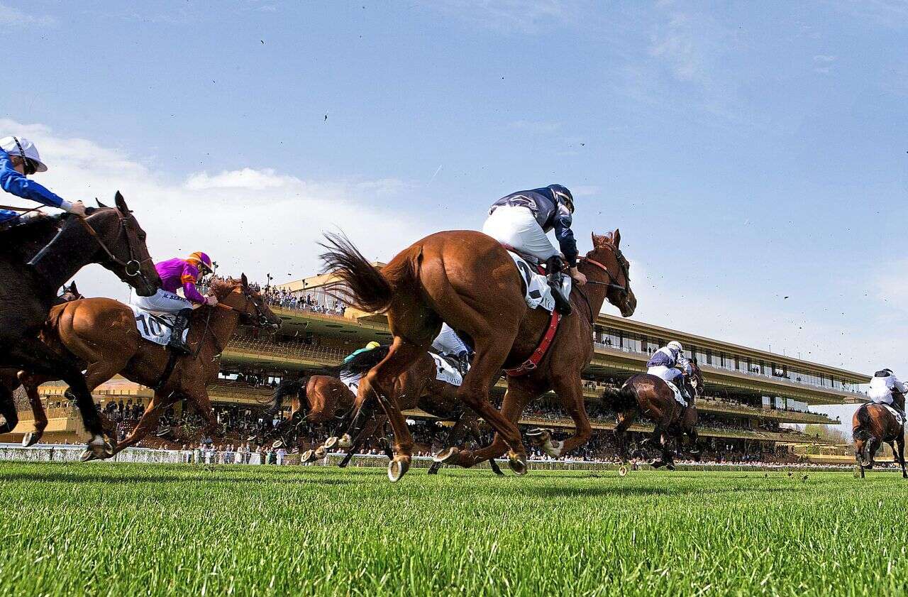 Un cheval remporte une course avec une cote colossale… mais meurt juste après