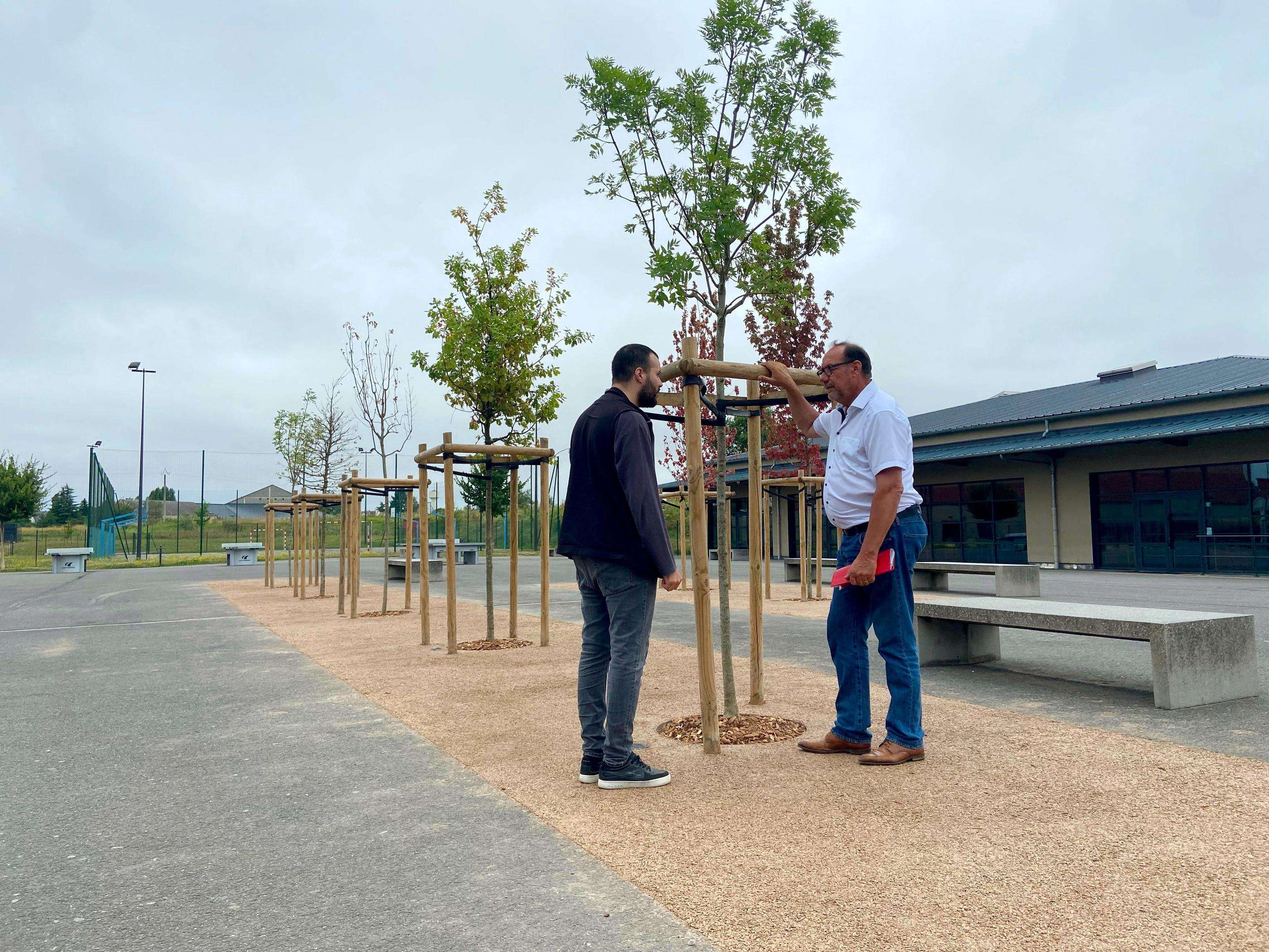 Dans le Loiret, les cours de récréation végétalisées gagnent les collèges pour « préparer l’avenir »