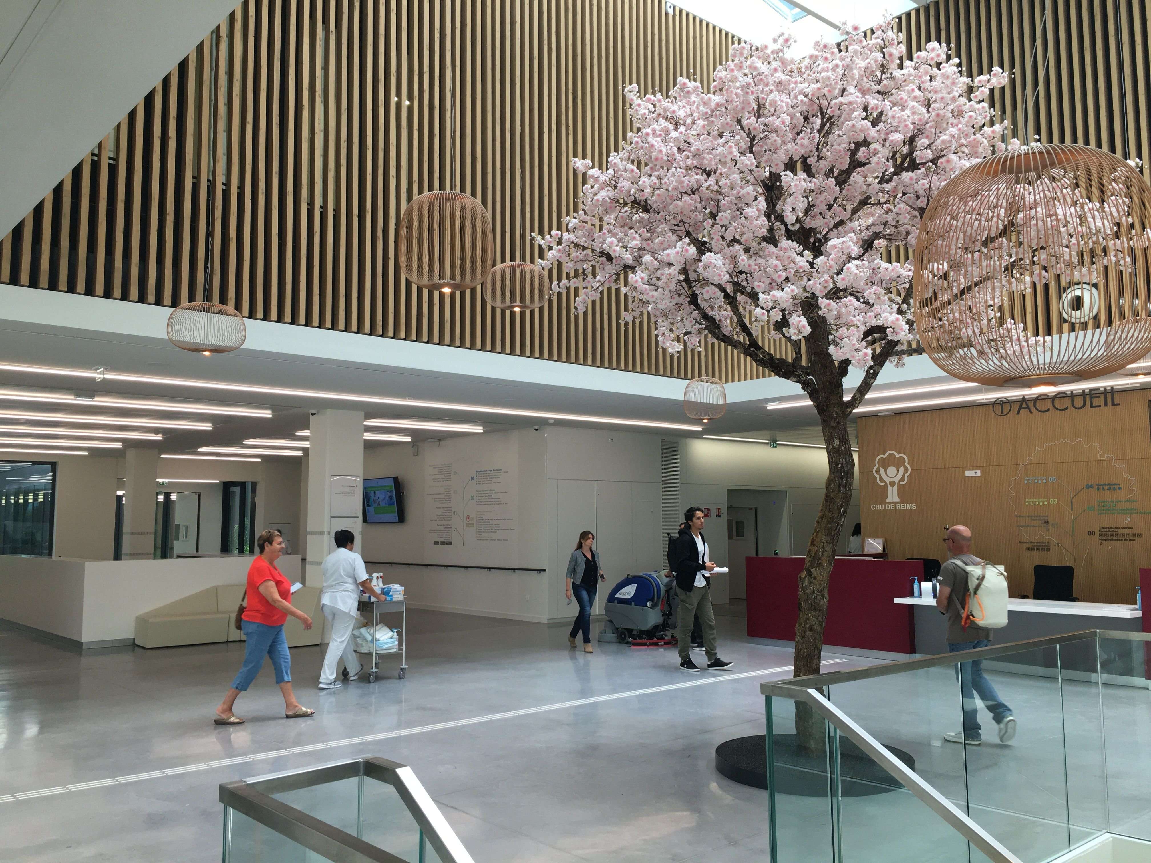 À Reims, l’hôpital du futur se dévoile