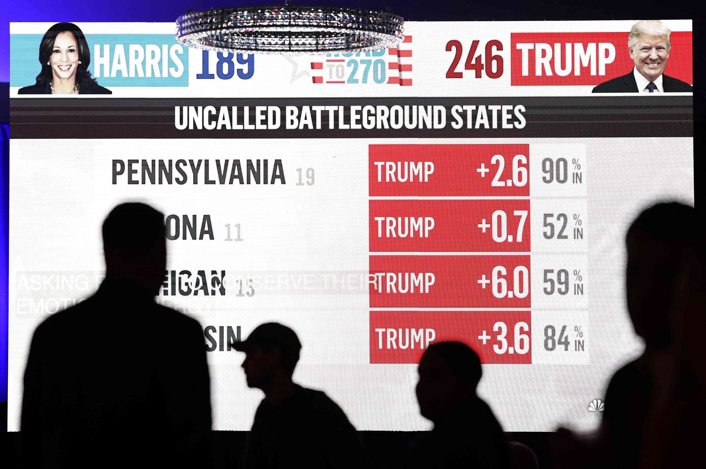 Présidentielle américaine : âge, genre, groupe ethnique… qui a voté quoi entre Trump et Harris ?