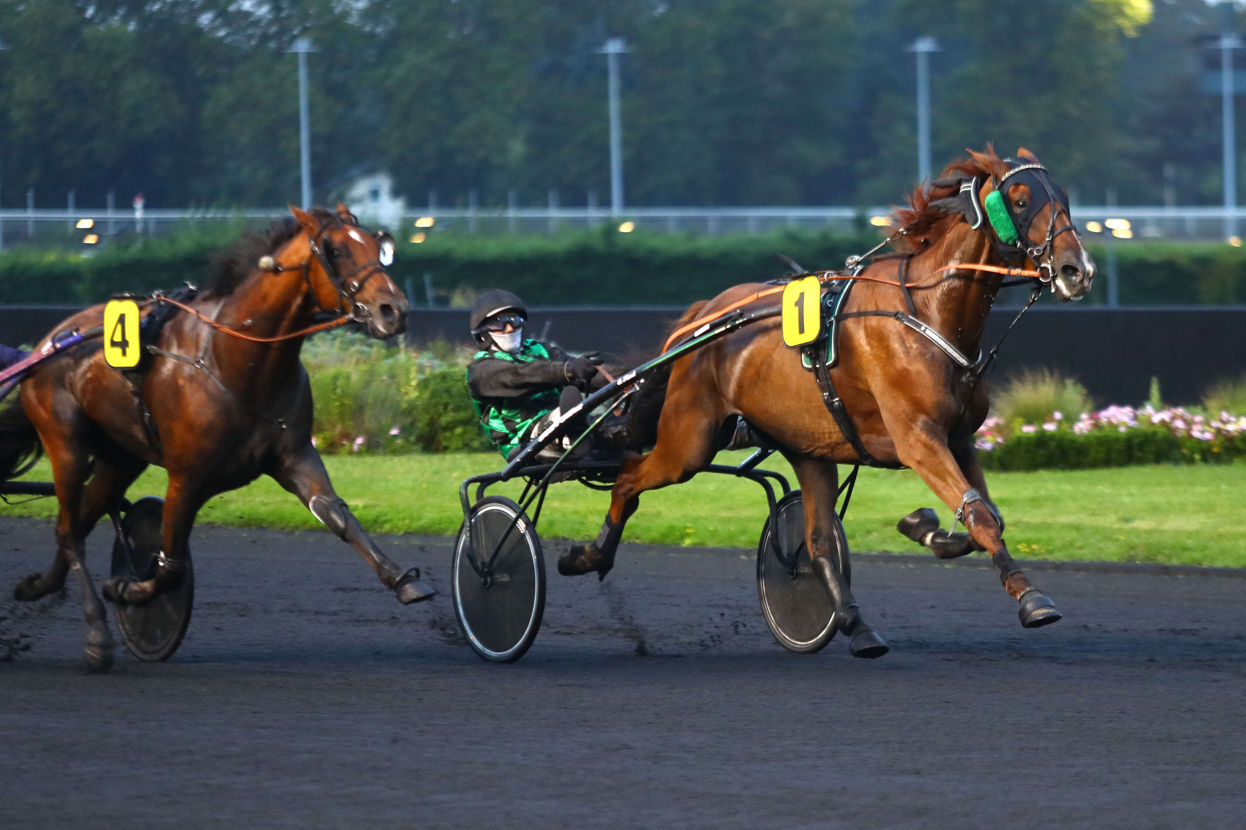 PMU - Arrivée du quinté du vendredi 30 août à Vincennes : Soir de premières pour Helios Djema