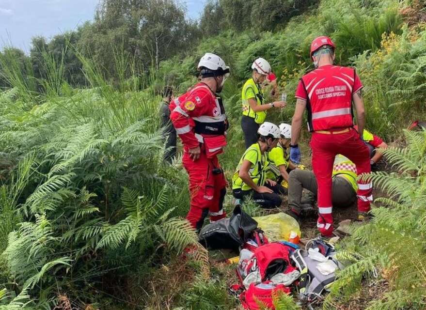 Après s’être perdue, une Italienne de 88 ans survit quatre jours dans la forêt en buvant de l’eau de pluie