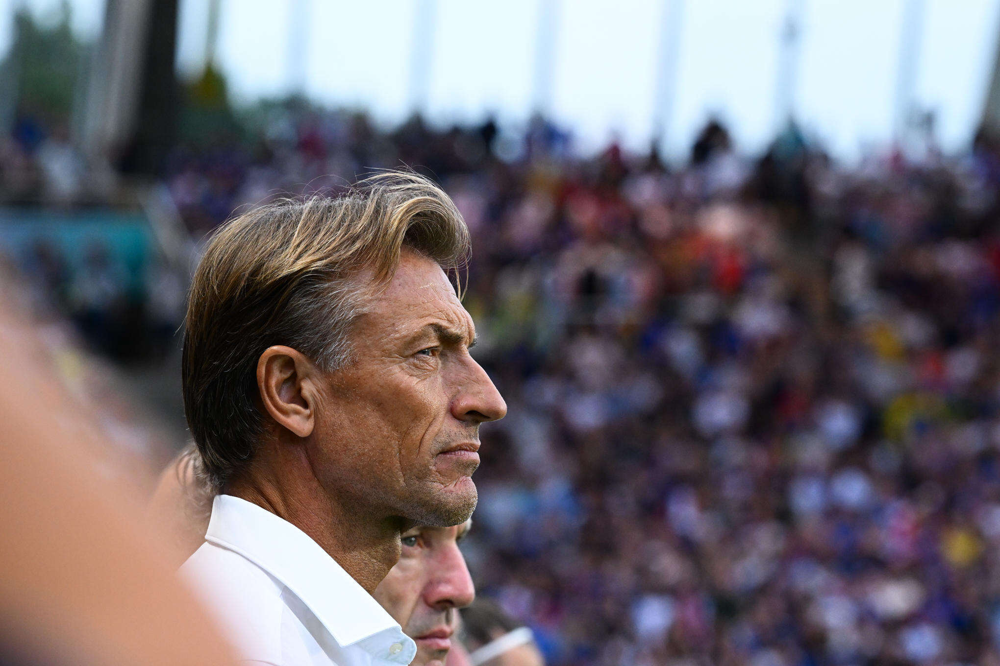 Football : après les Bleues, Hervé Renard pourrait revenir sur le banc de l’Arabie saoudite