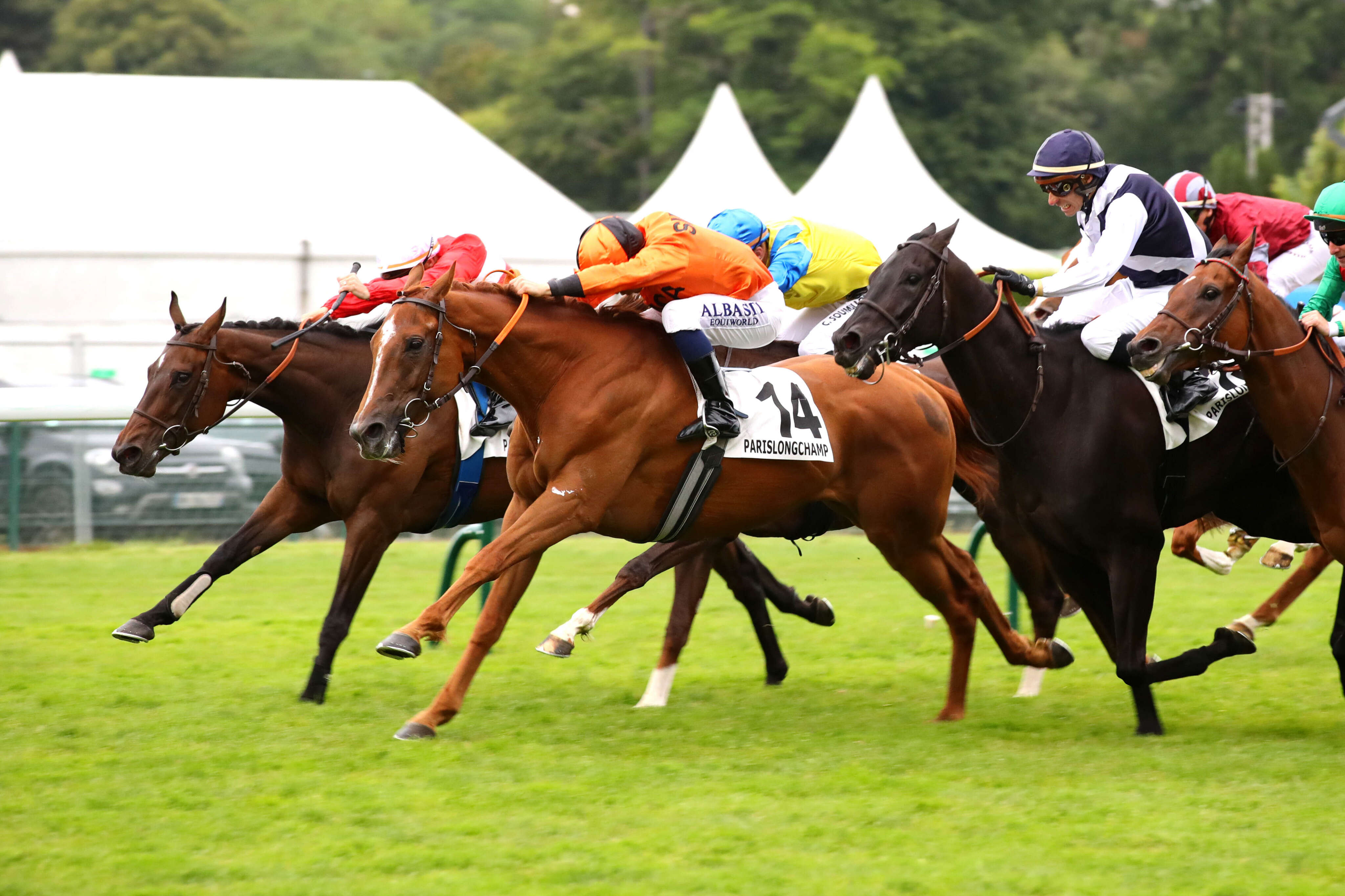 PMU - Arrivée du quinté du jeudi 13 juin à ParisLongchamp : Mykiss de bout en bout