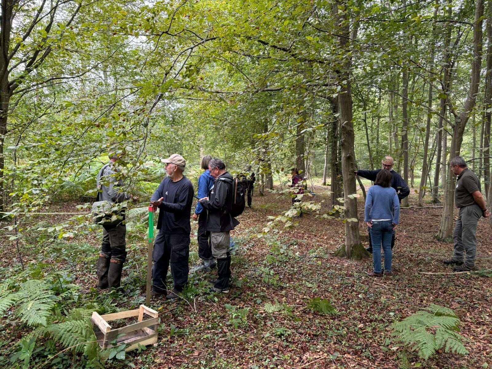 Forêt de Chantilly : ne touchez pas aux cagettes en bois !