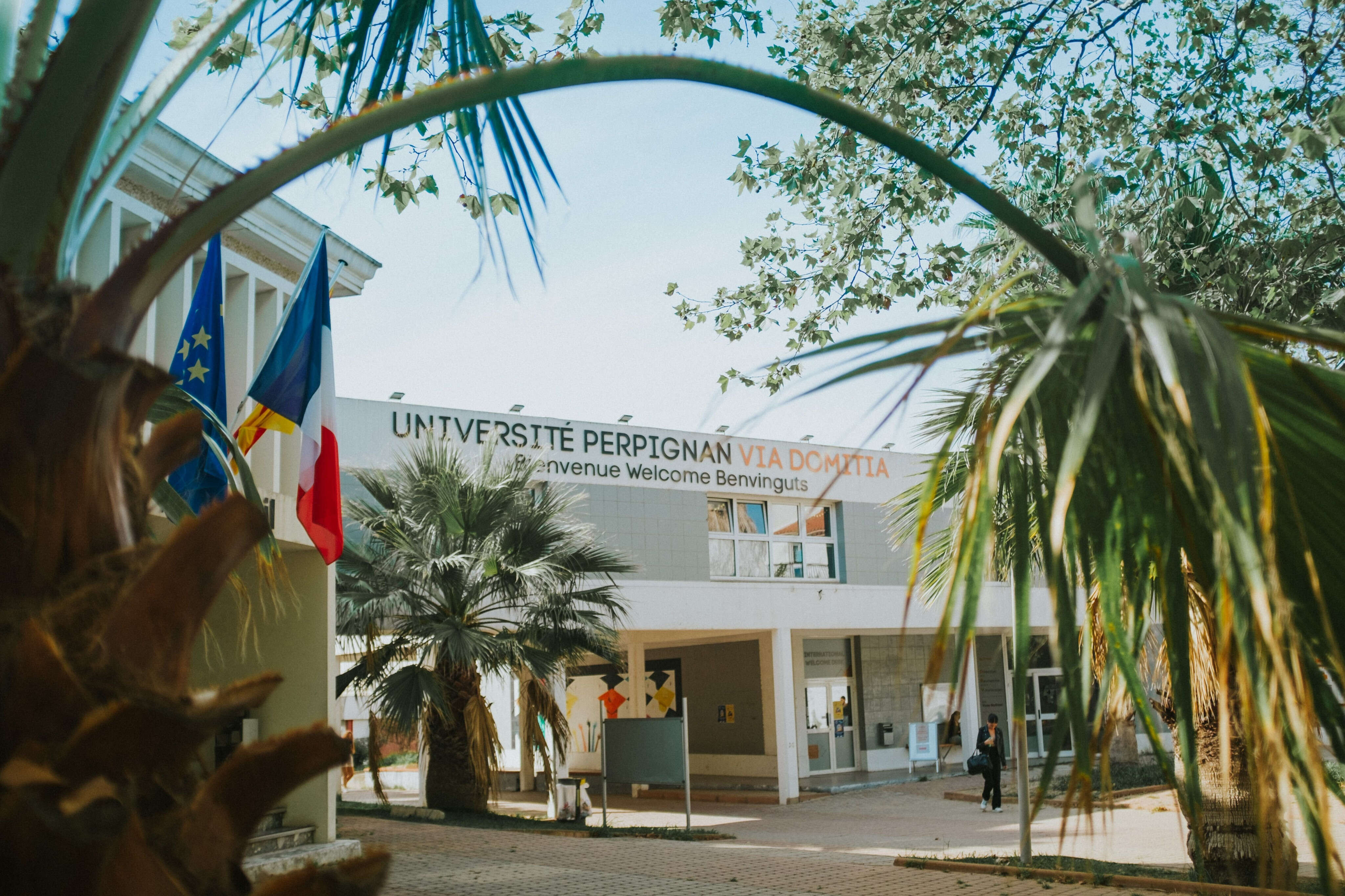 L’université de Perpignan Via Domitia gagne des étudiants et lance des formations dans la santé et la construction