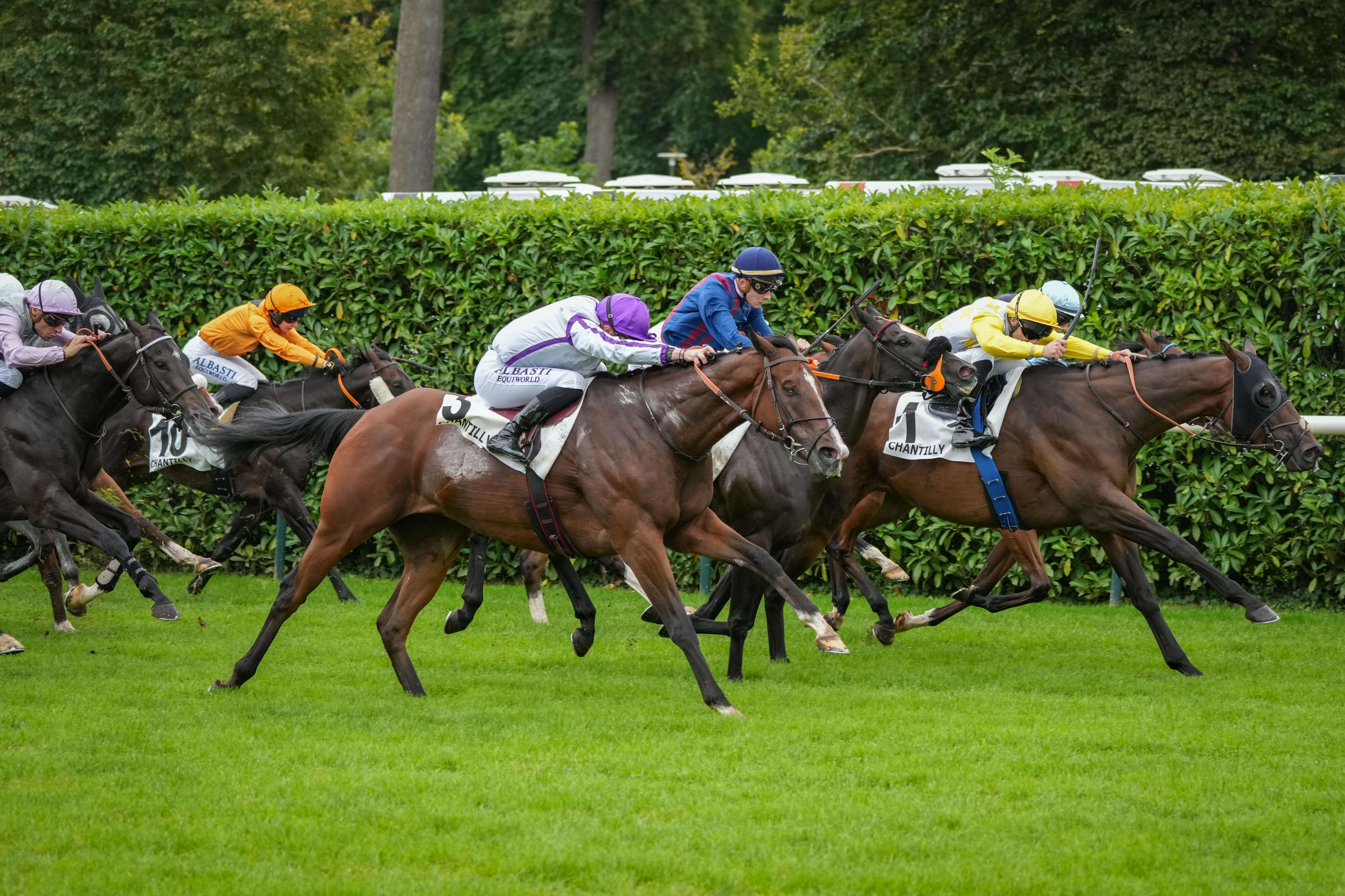 PMU - Arrivée du quinté du lundi 16 septembre à Chantilly : National Service surprend tout le monde