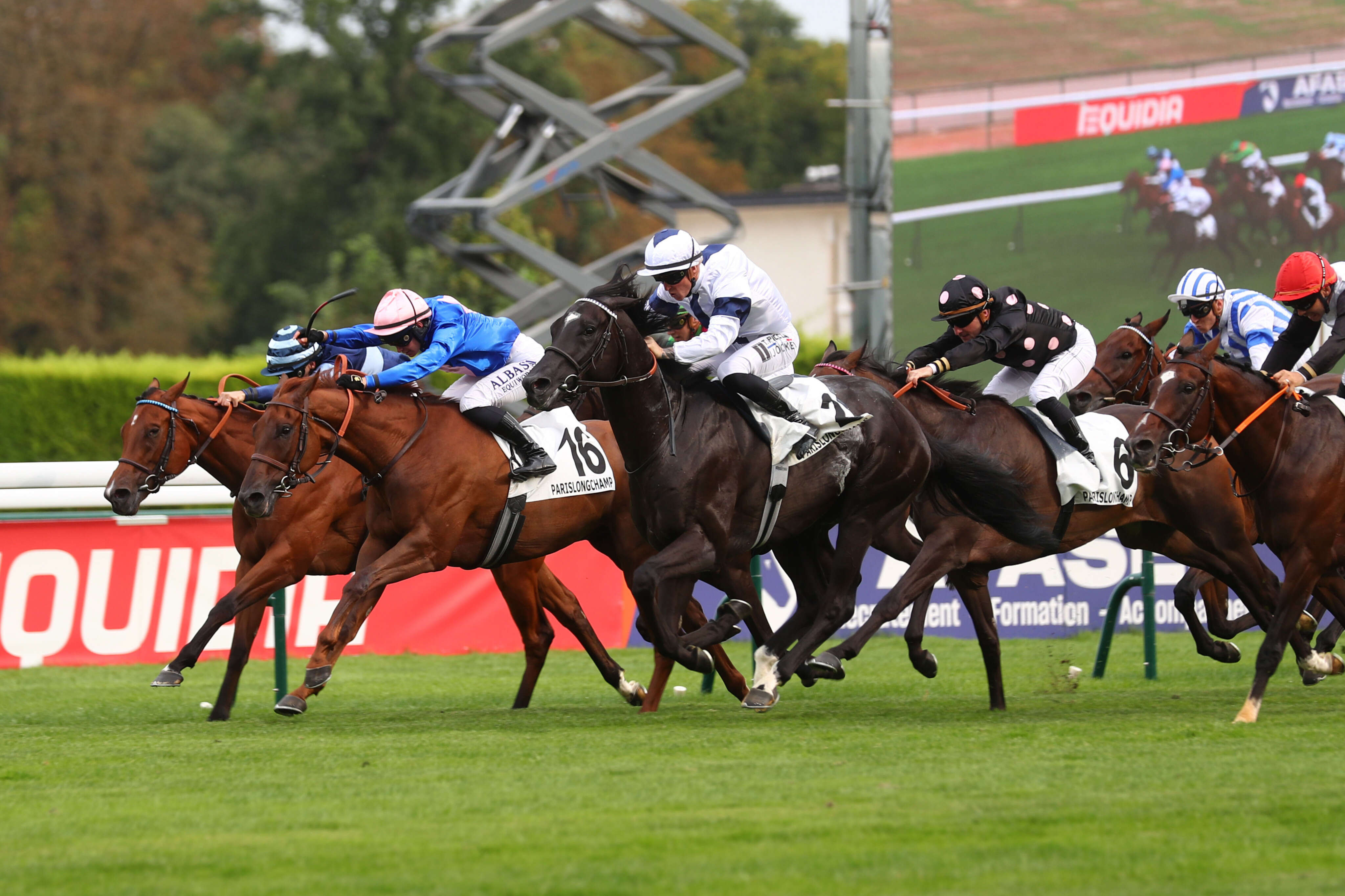 PMU - Arrivée du quinté du jeudi 29 août à Longchamp : Marharry s’impose de justesse